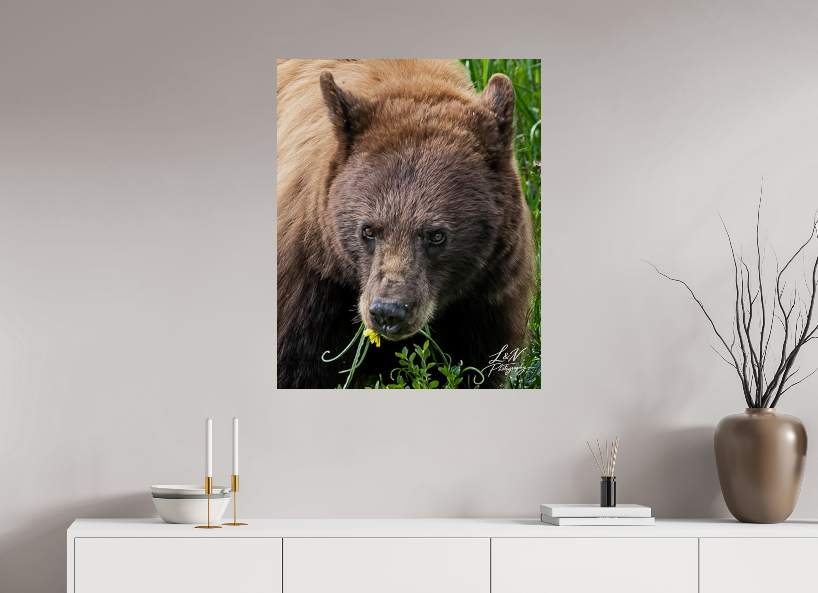 28 x 35″, Photo Print Under Acrylic Glass Eyes of the Wild