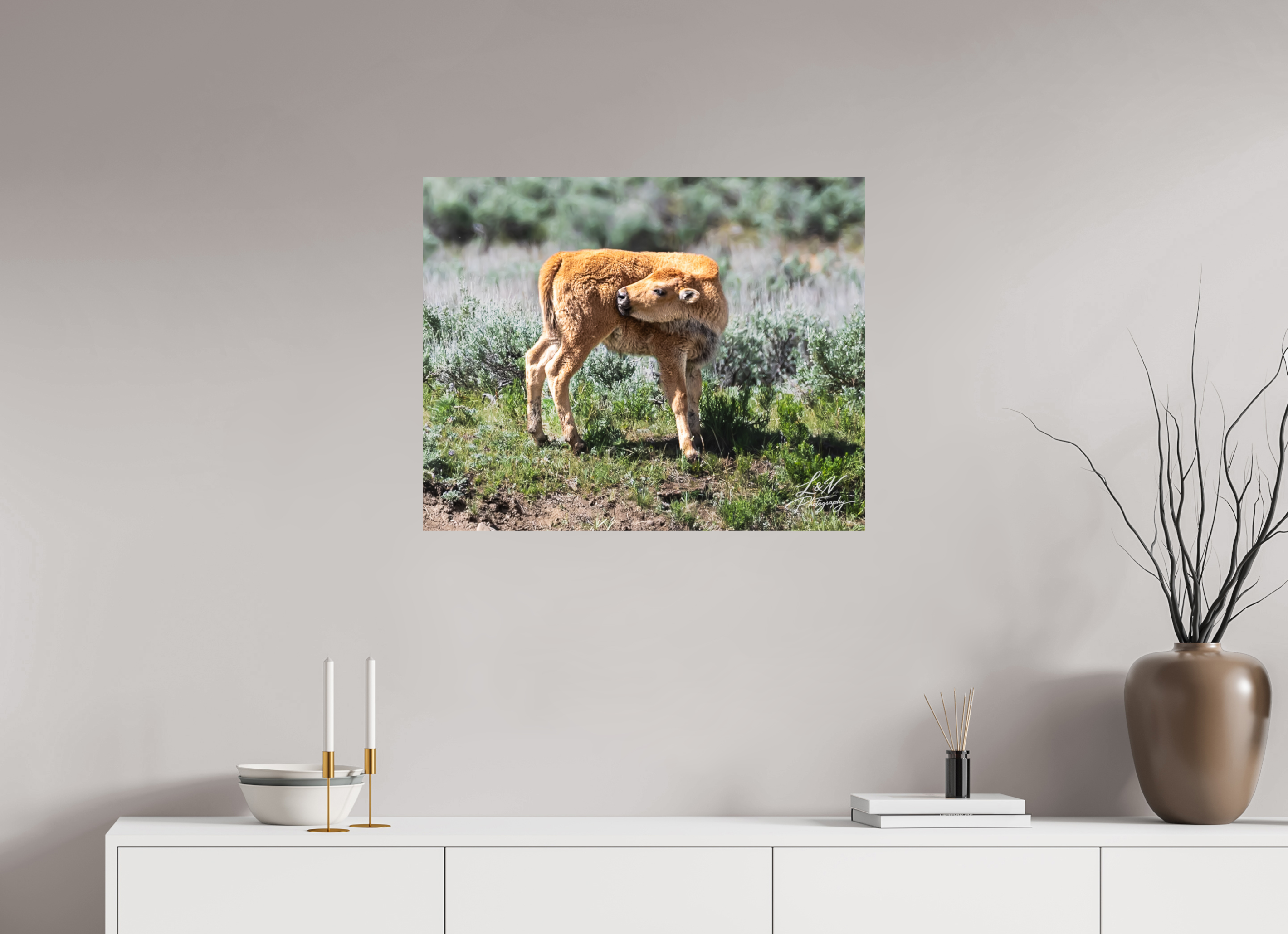 30 x 24″, Photo Print On Fuji Crystal DP II Looking Back