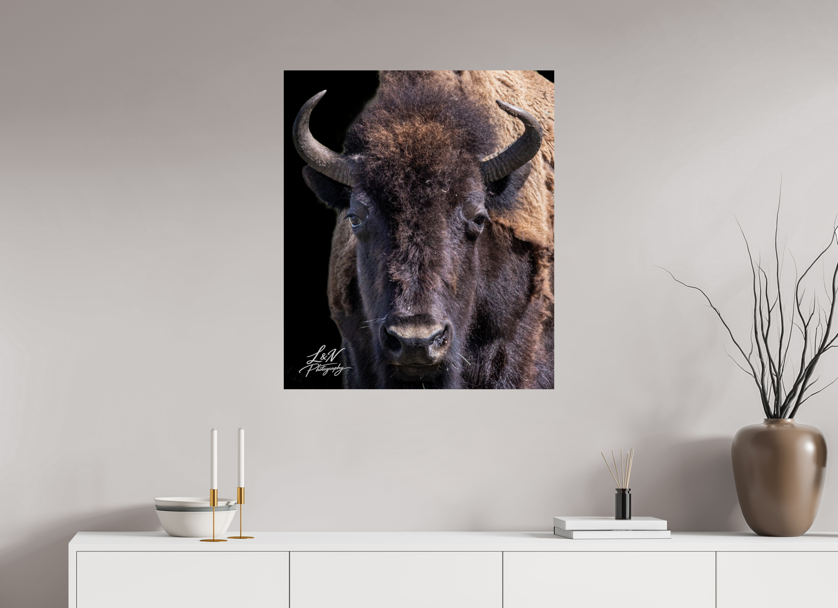 28 x 33″, Photo Print on Aluminum Backing Yellowstone Bison