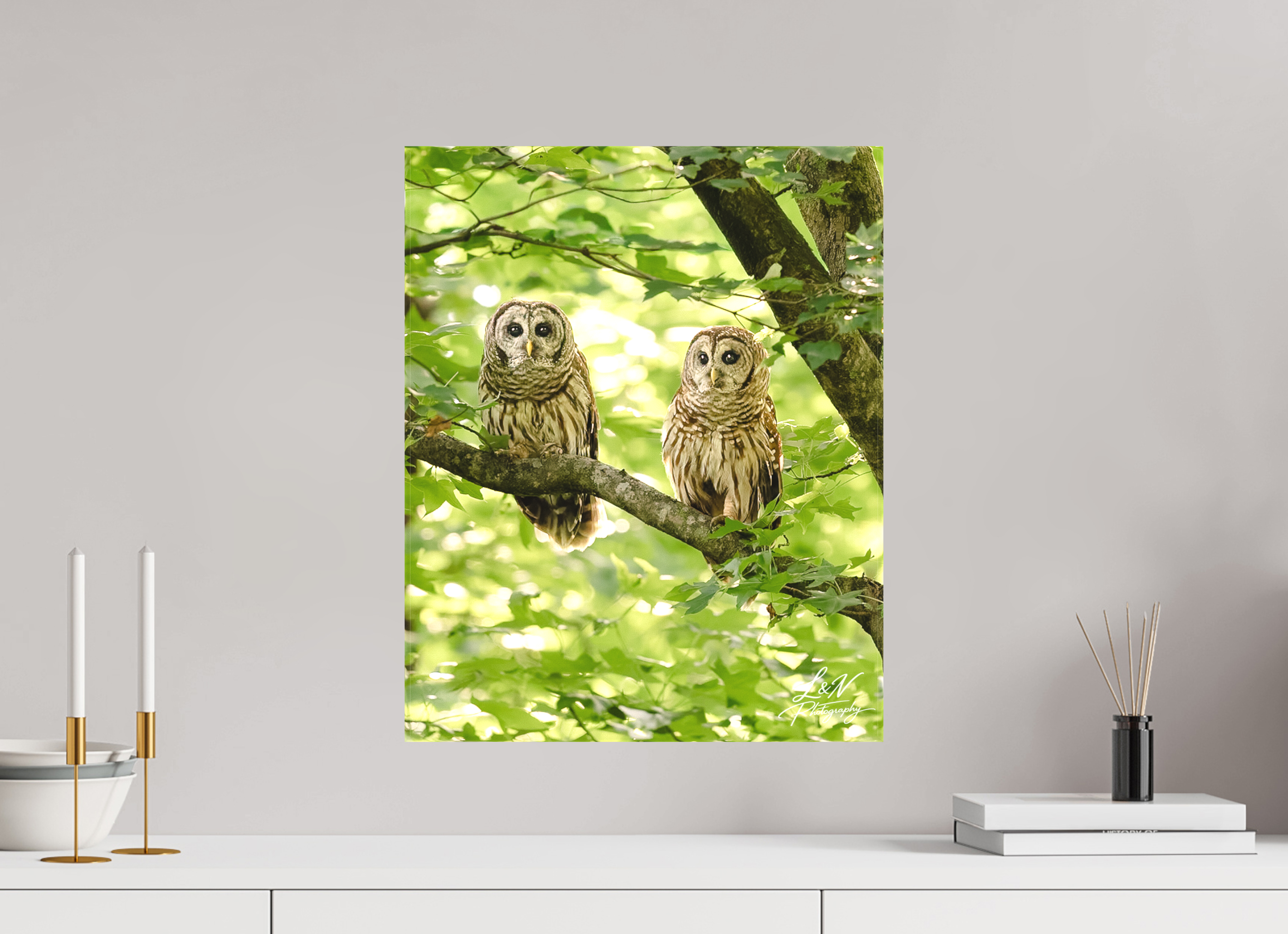 16 x 20″, Matte Canvas on Stretcher Frame Kindred Spirits