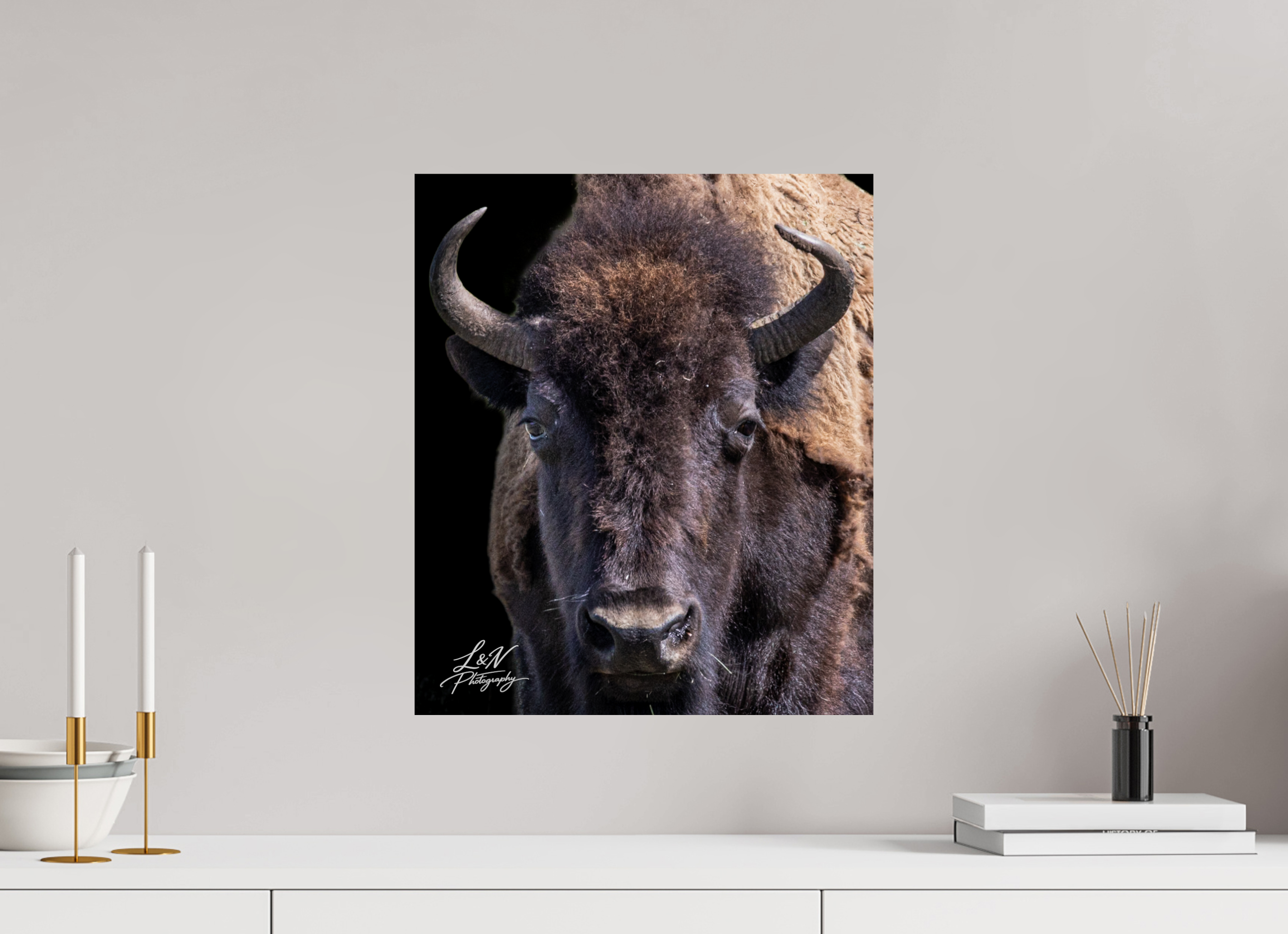 16 x 18.9″, Photo Print On Fuji Crystal DP II Yellowstone Bison