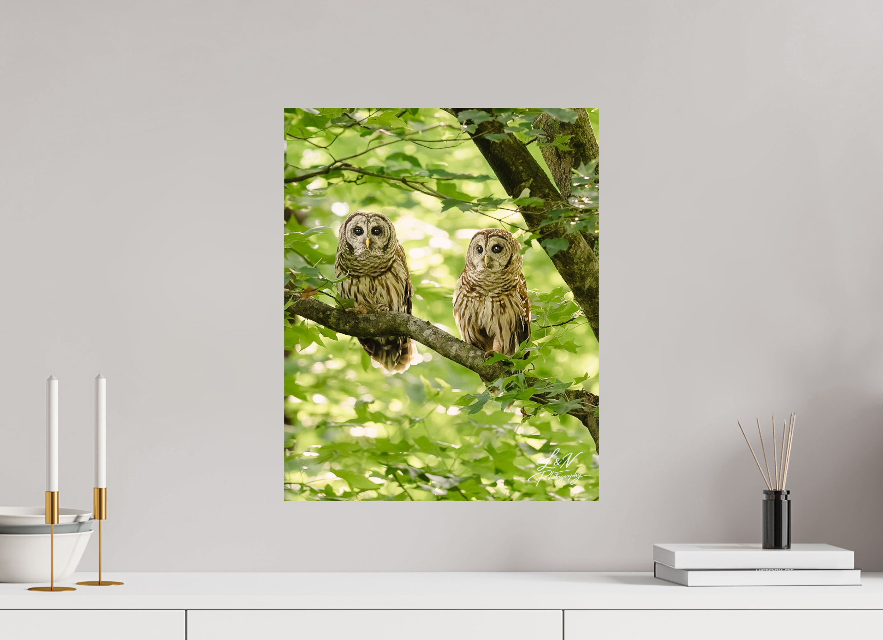 16 x 20″, Photo Print On Fuji Crystal DP II Kindred Spirits