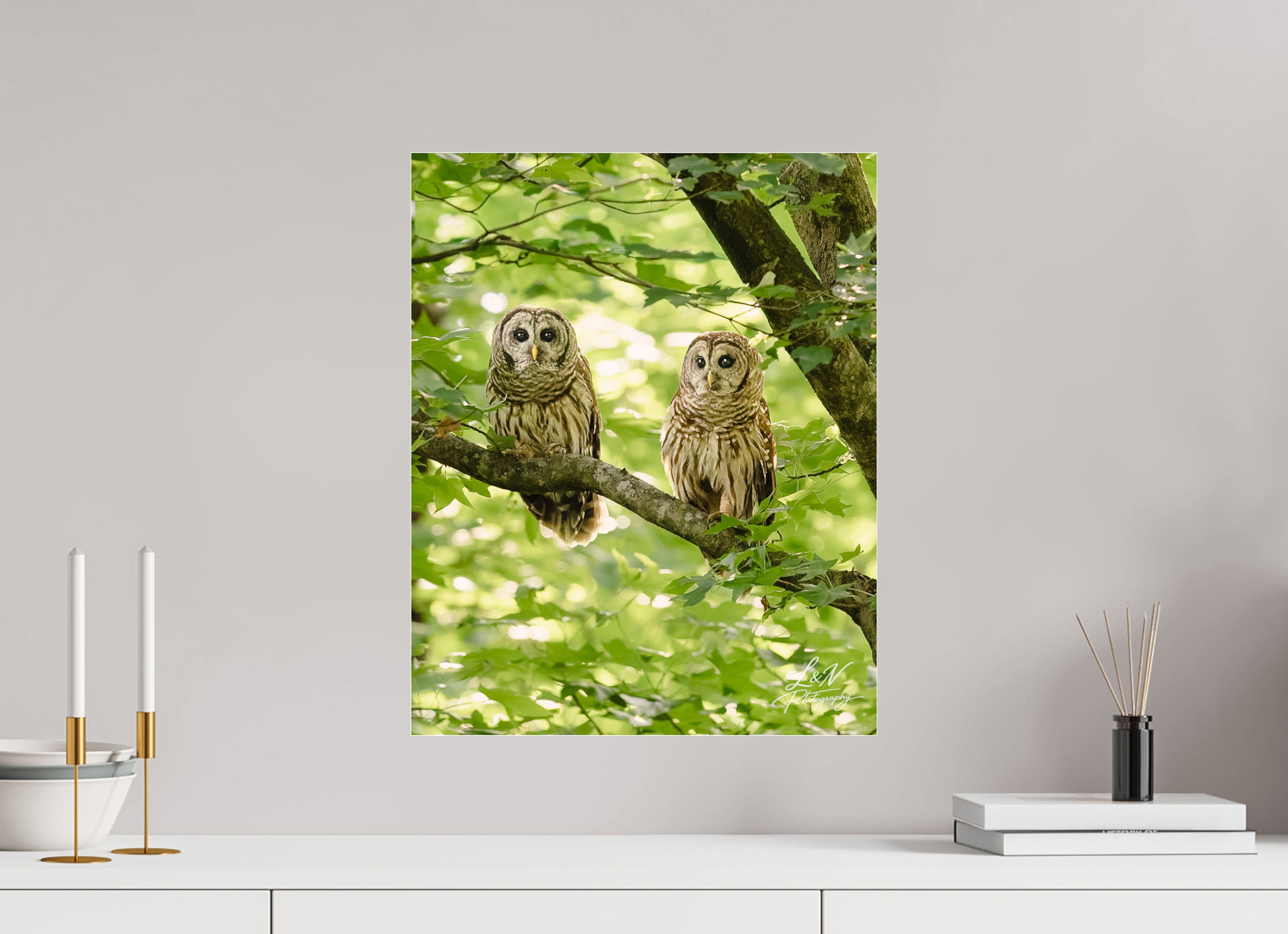 16 x 20″, Photo Print Under Acrylic Glass Kindred Spirits