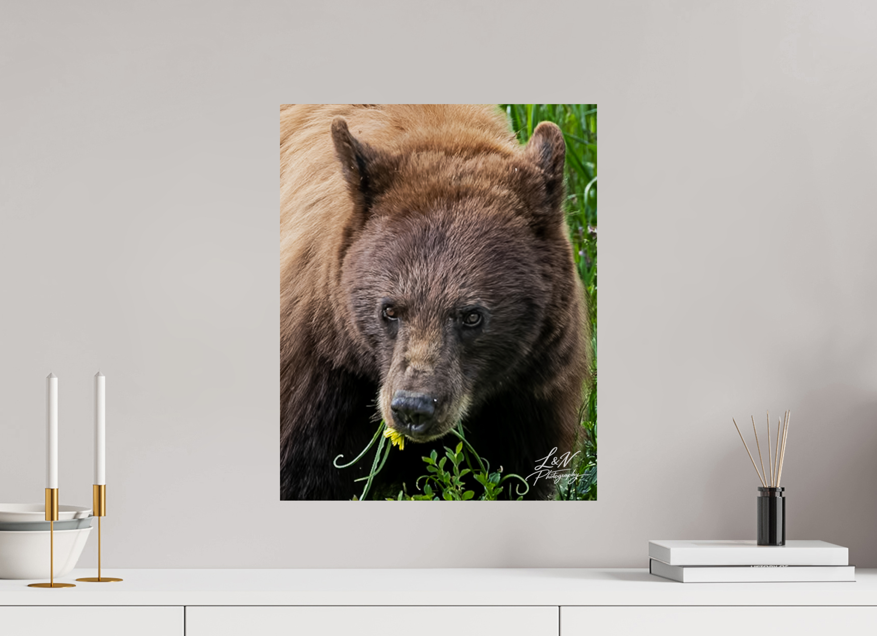 16 x 20″, Photo Print on Aluminum Backing Eyes of the Wild