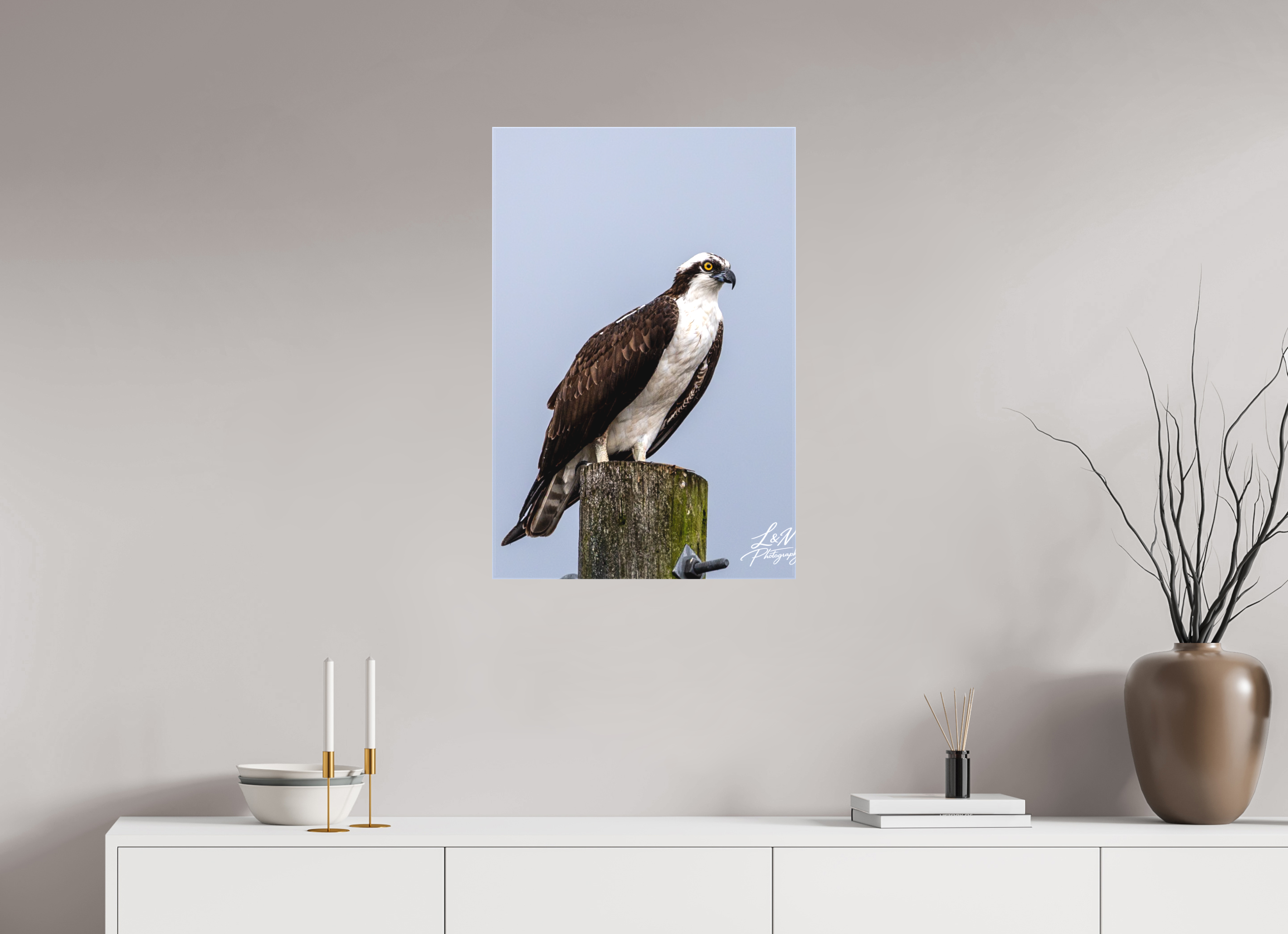 20 x 30″, Matte Canvas on Stretcher Frame Focused