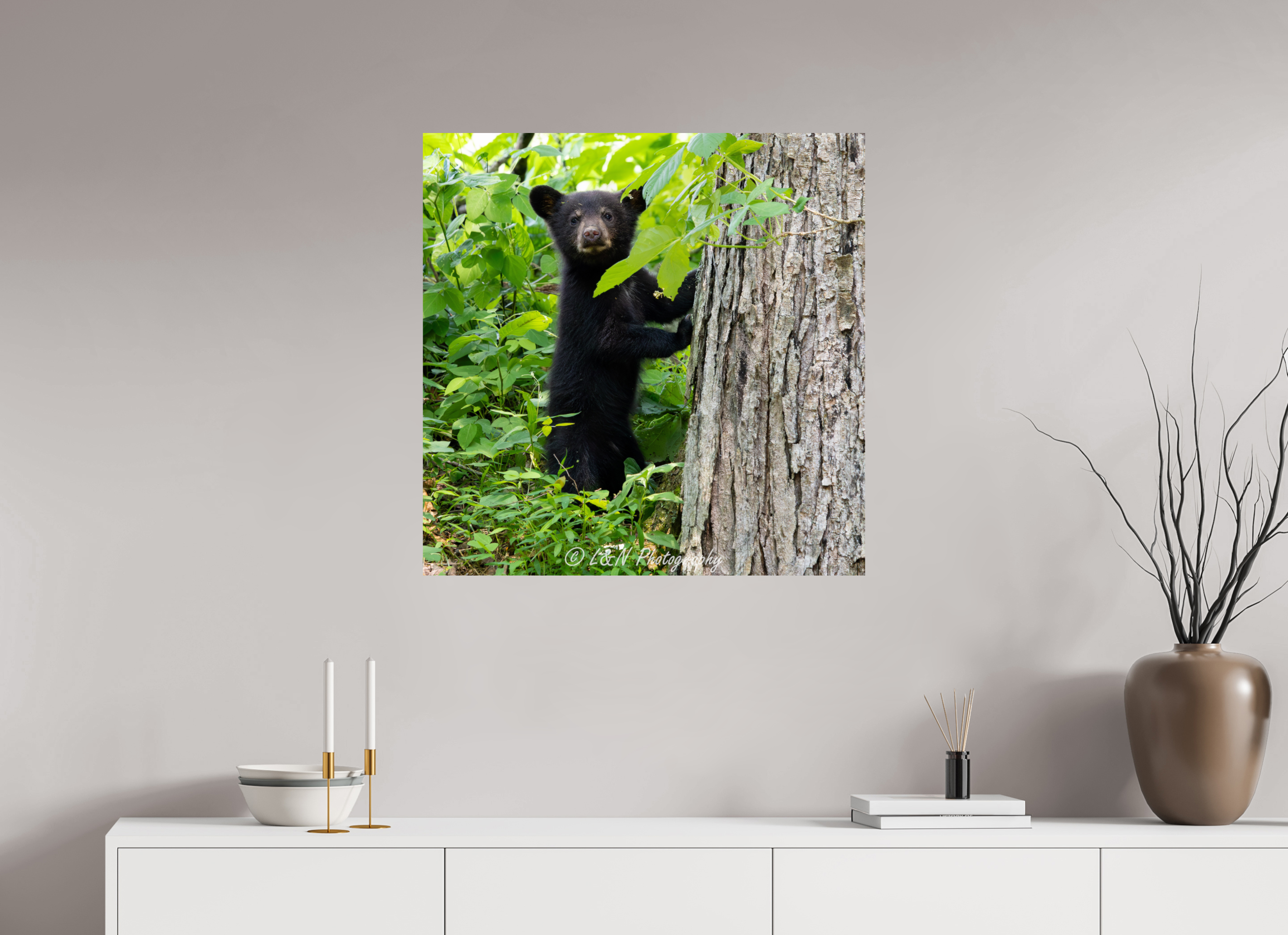 30 x 30″, Photo Print On Fuji Crystal DP II Bear Cub