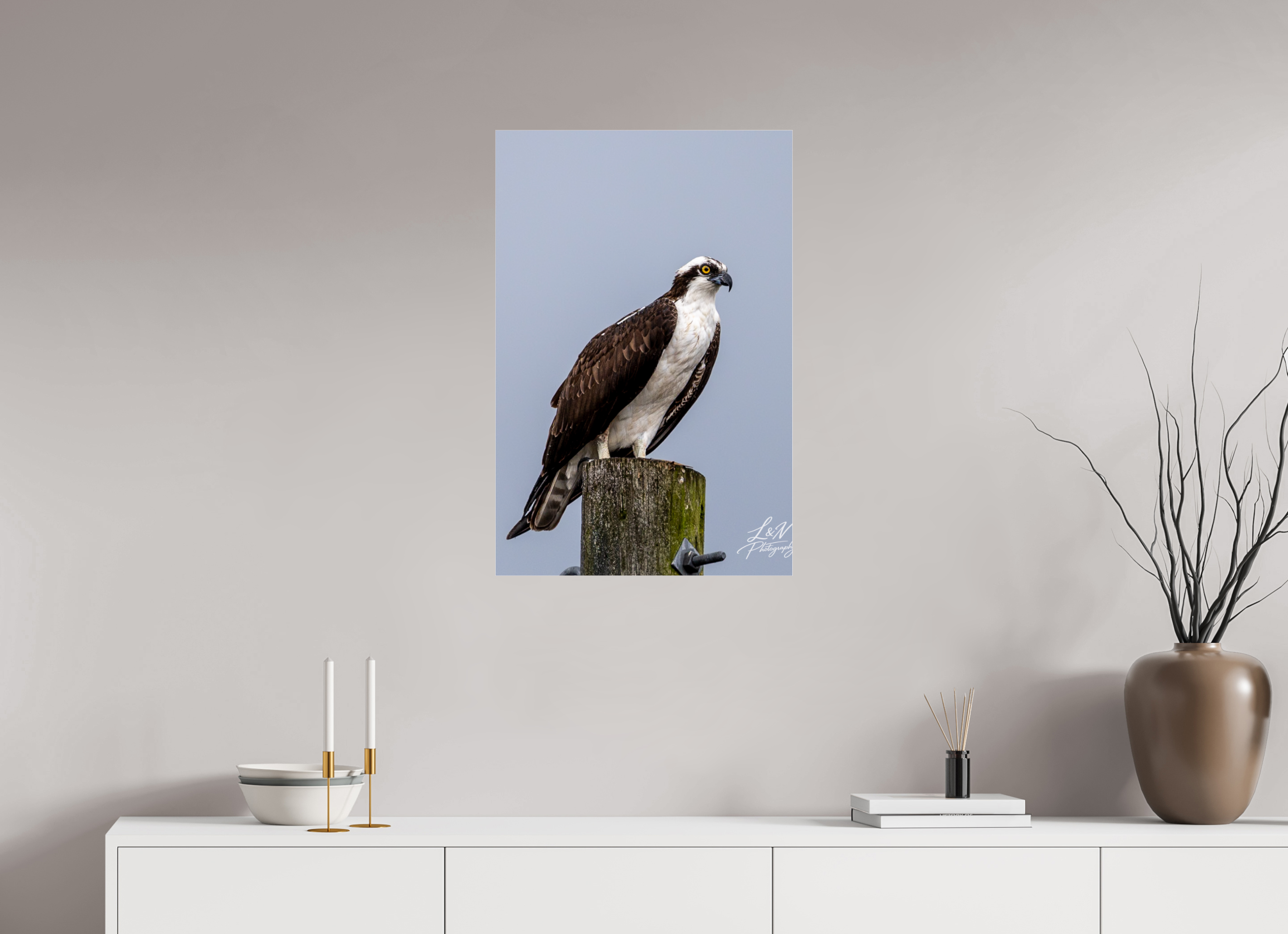 20 x 30″, Photo Print Under Acrylic Glass Focused