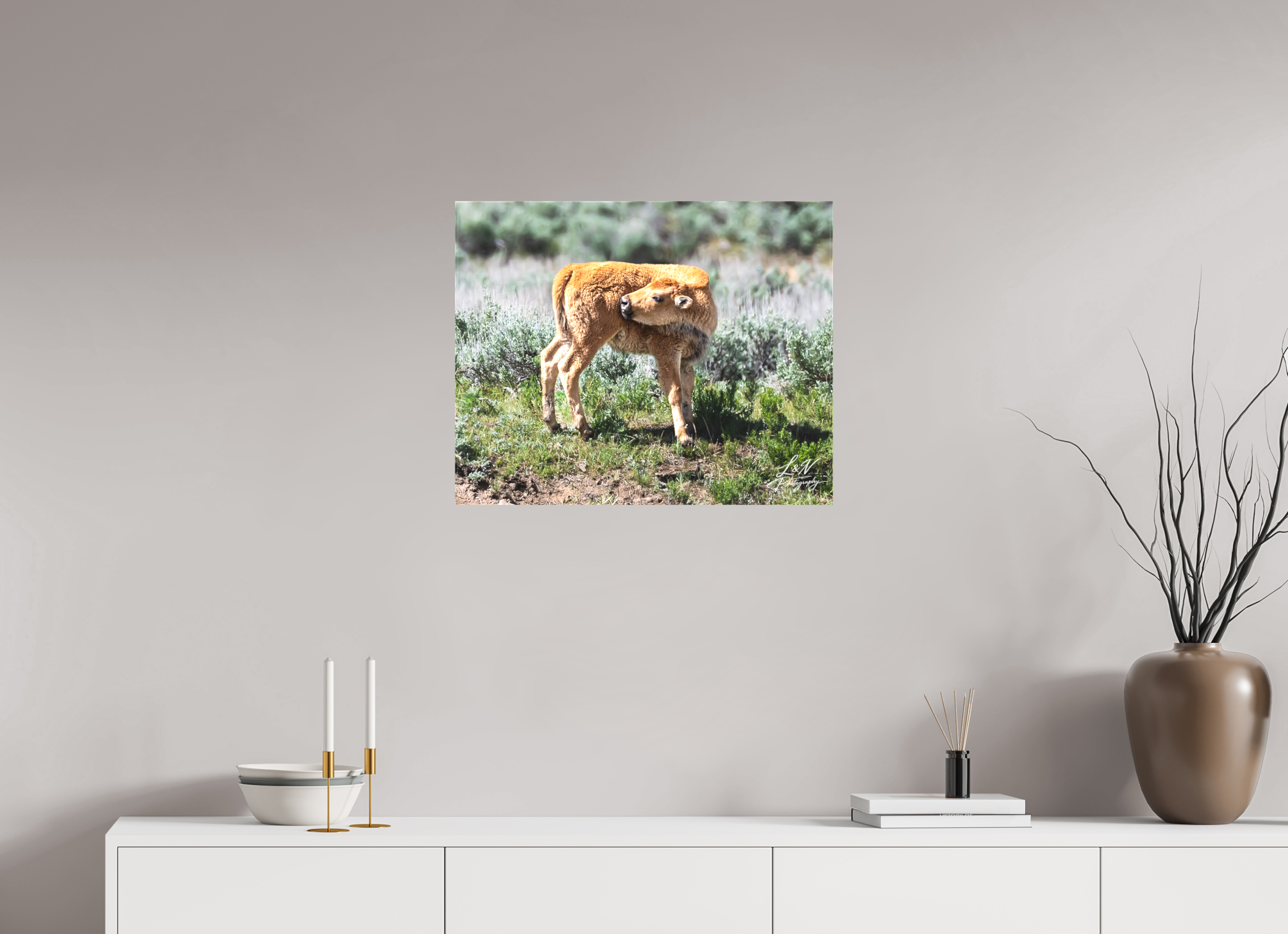 25 x 20″, Matte Canvas on Stretcher Frame Looking Back