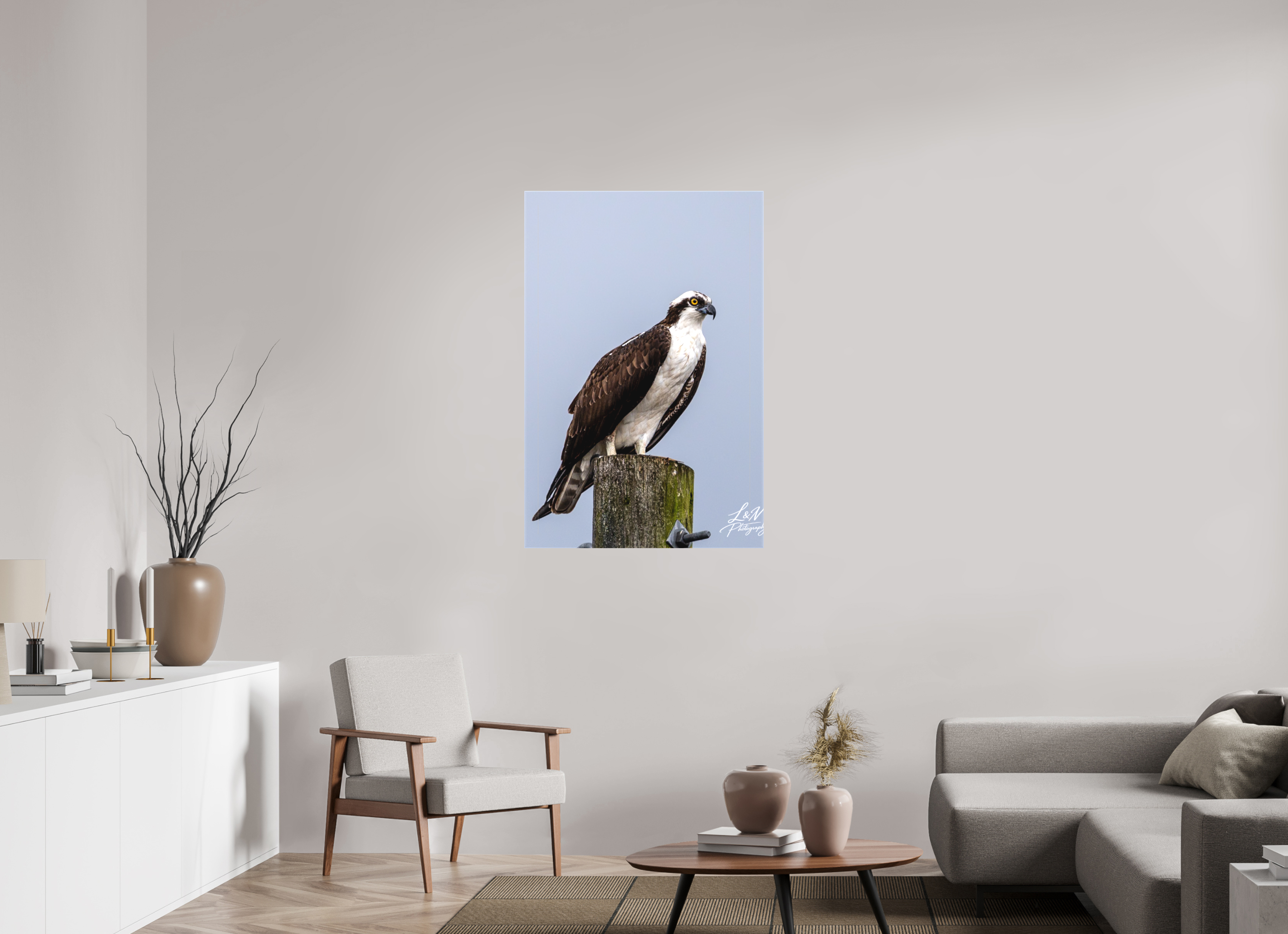 30 x 45″, Matte Canvas on Stretcher Frame Focused