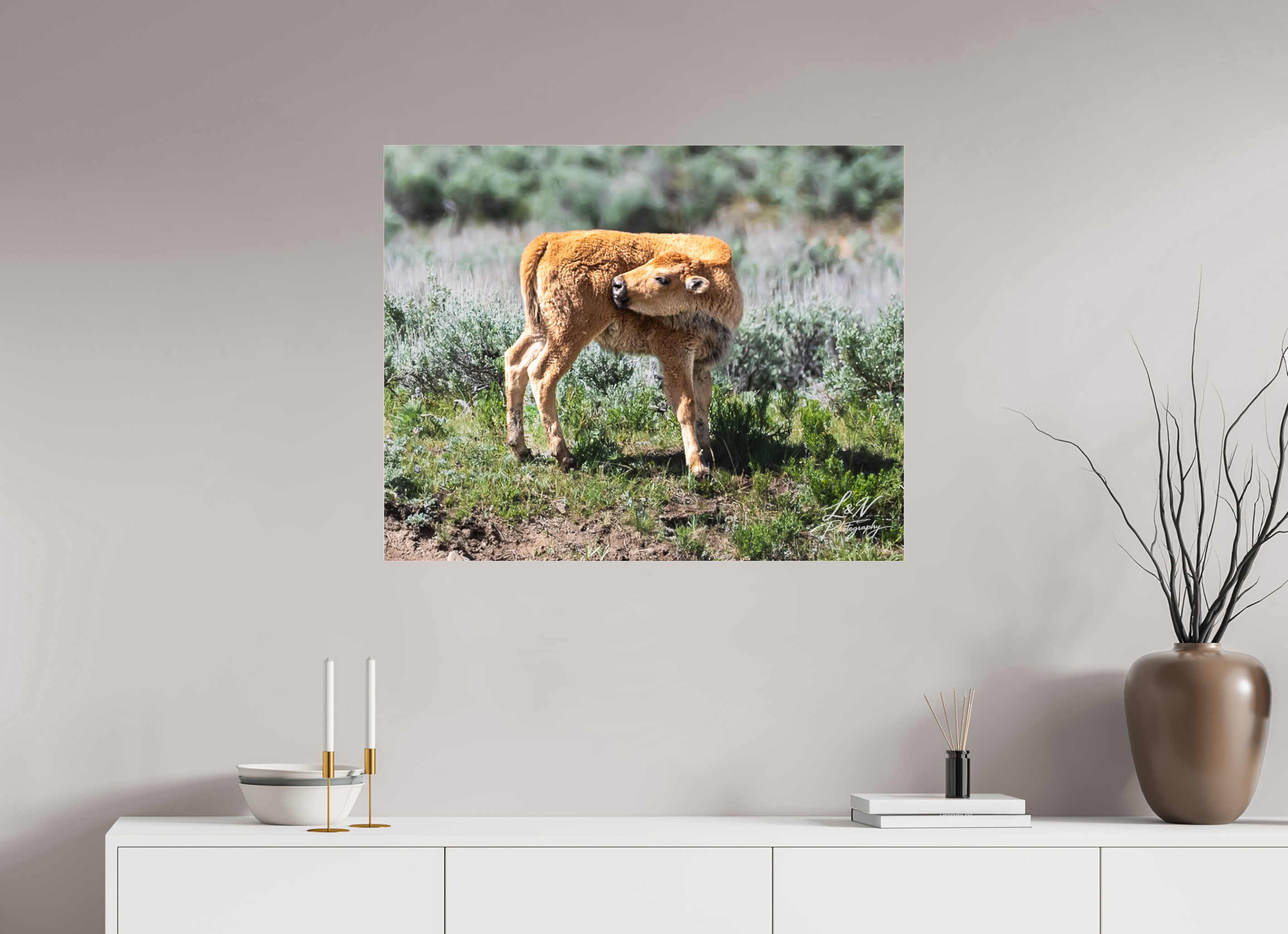 35 x 28″, Photo Print Under Acrylic Glass Looking Back