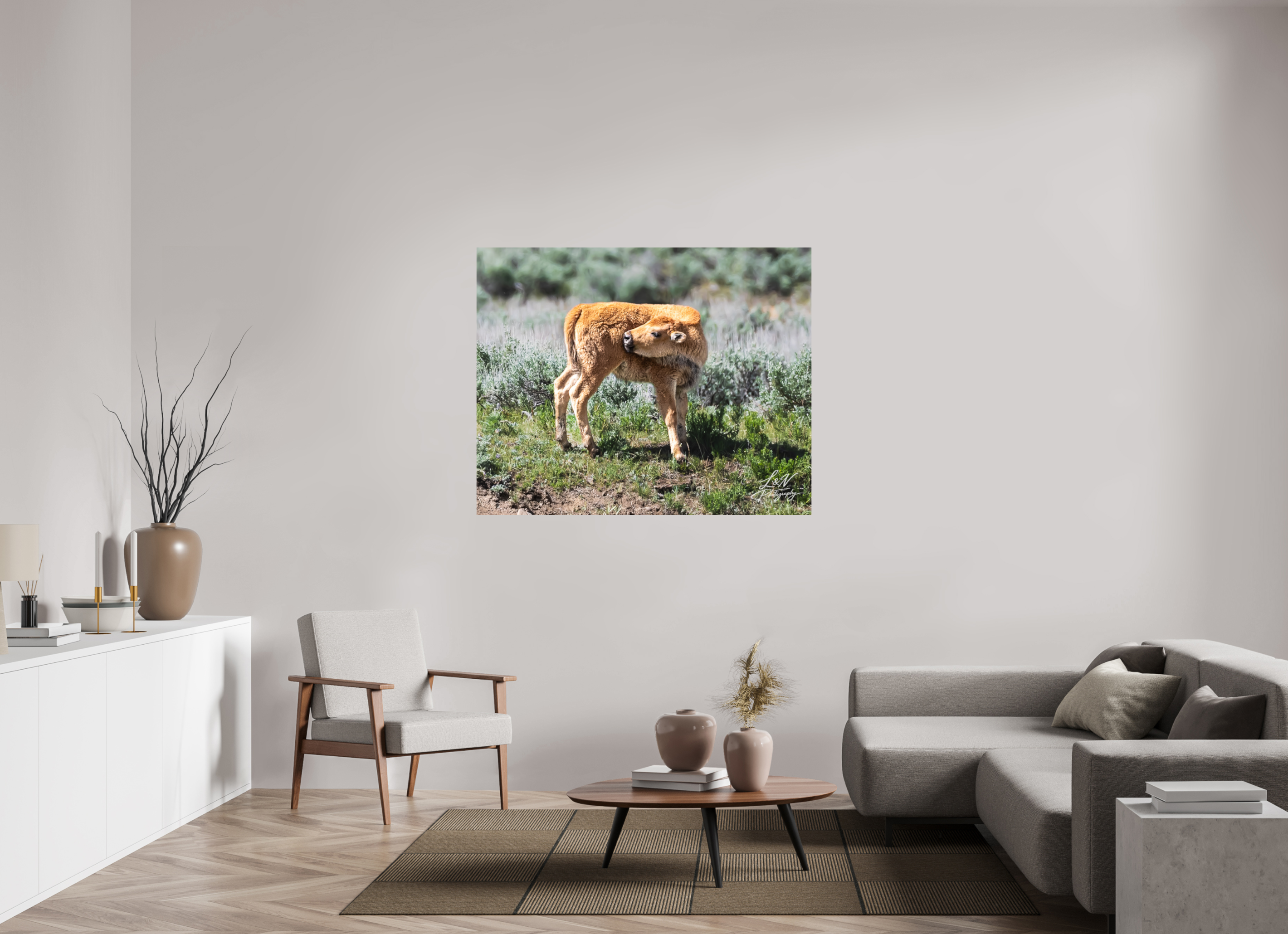 53.8 x 43″, Photo Print on Aluminum Backing Looking Back