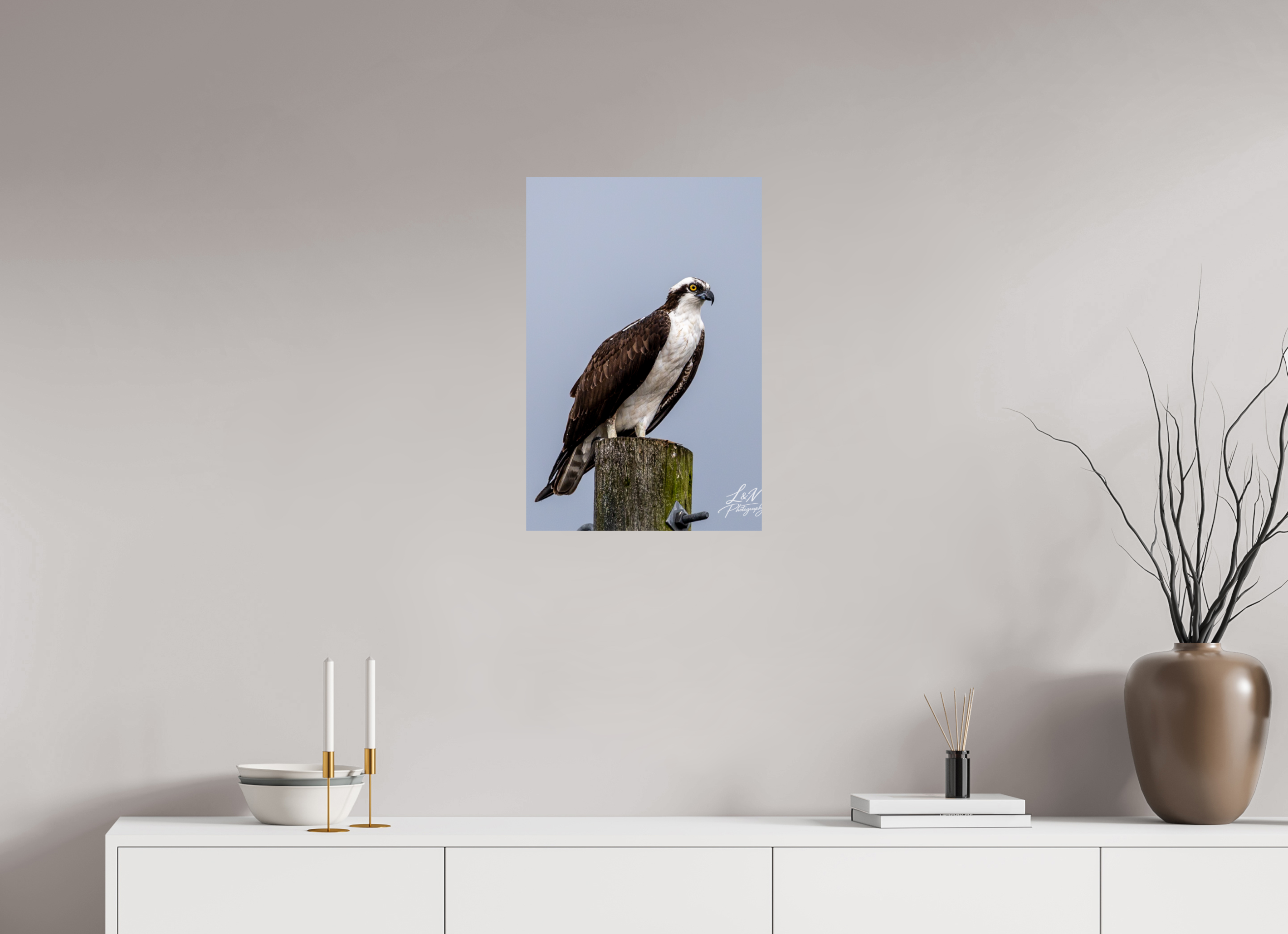 16 x 24″, Photo Print On Fuji Crystal DP II Focused