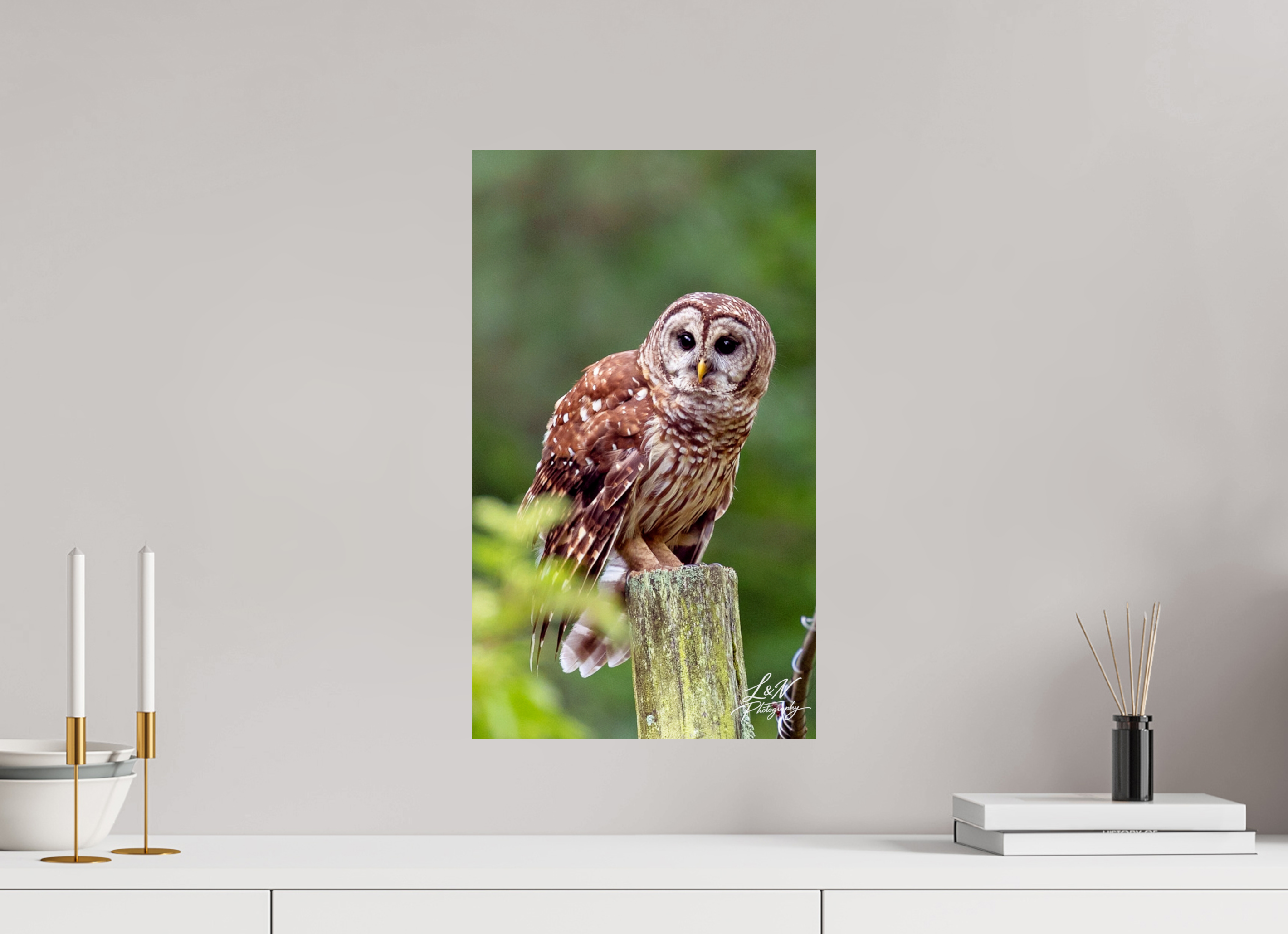 12 x 20.6″, Photo Print On Fuji Crystal DP II Moments in the Wild  Wildlife & Nature Photography from Alabama