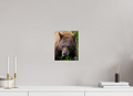 8 x 10″, Photo Print On Fuji Crystal DP II Eyes of the Wild