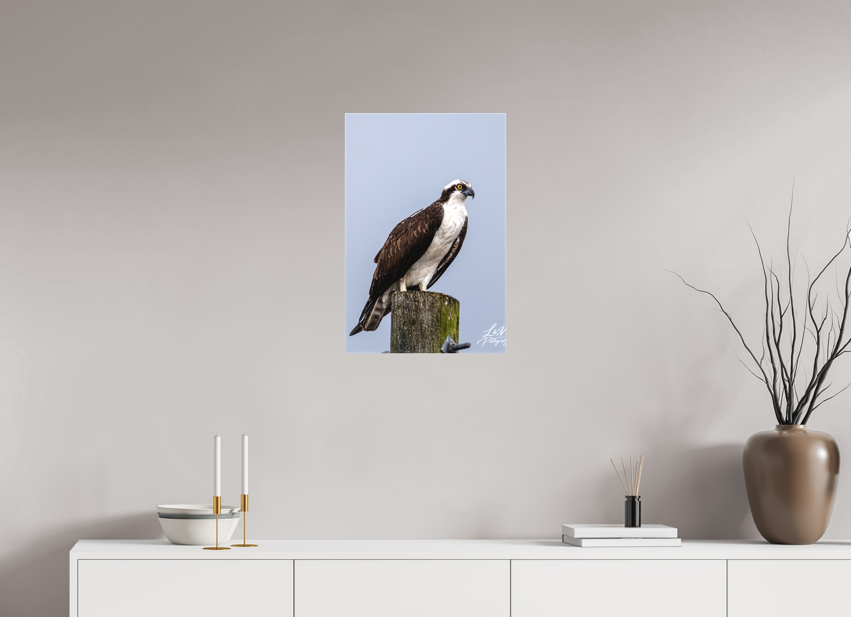 16 x 24″, Matte Canvas on Stretcher Frame Focused