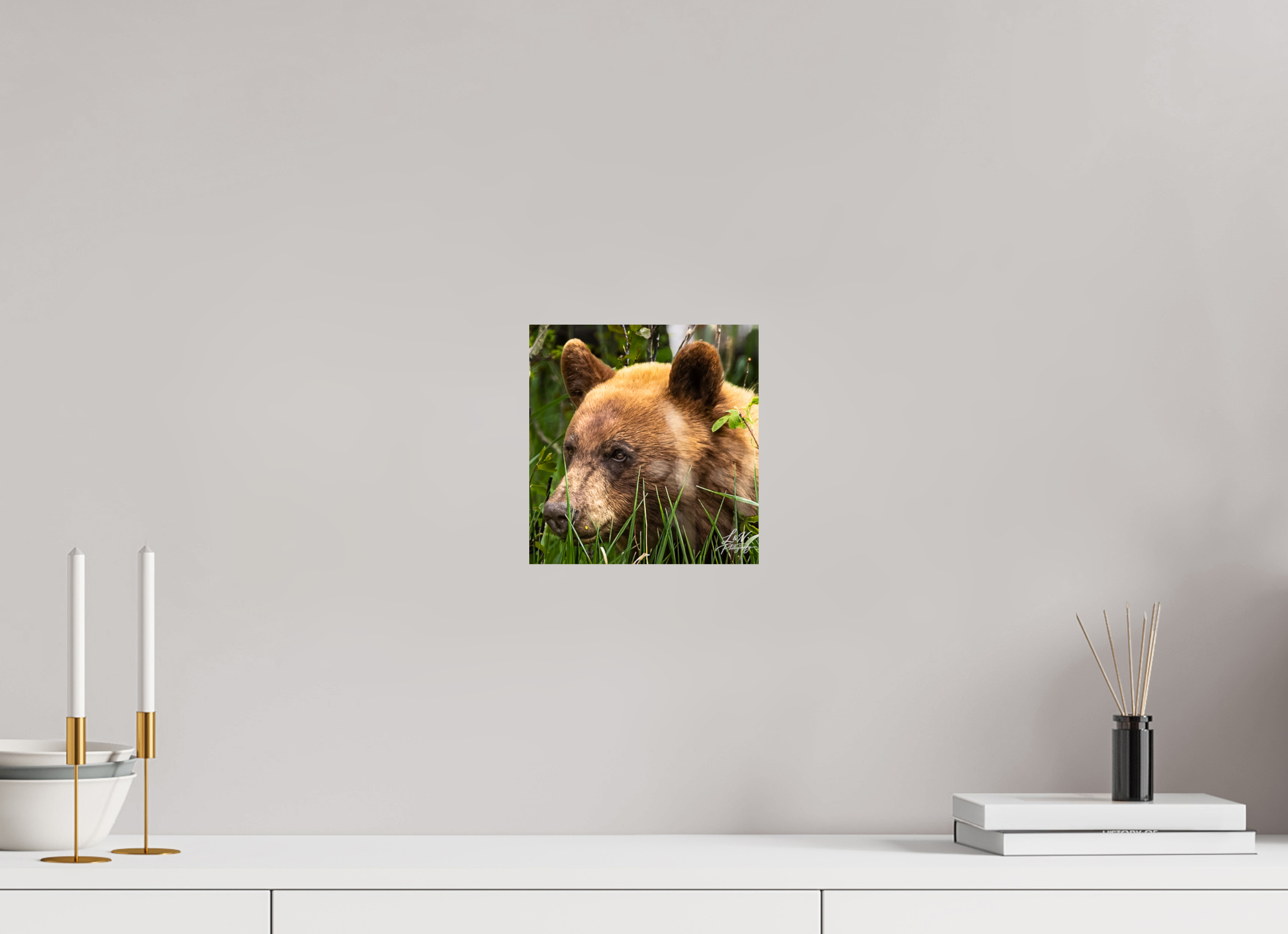 8 x 8.3″, Photo Print On Fuji Crystal DP II Cinnamon Bear