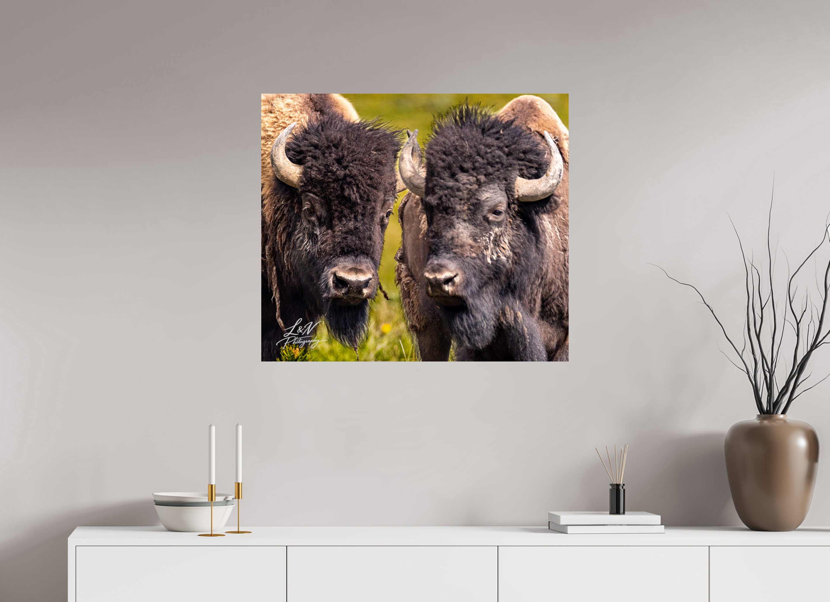 32.1 x 28″, Photo Print on Aluminum Backing Silent Strength