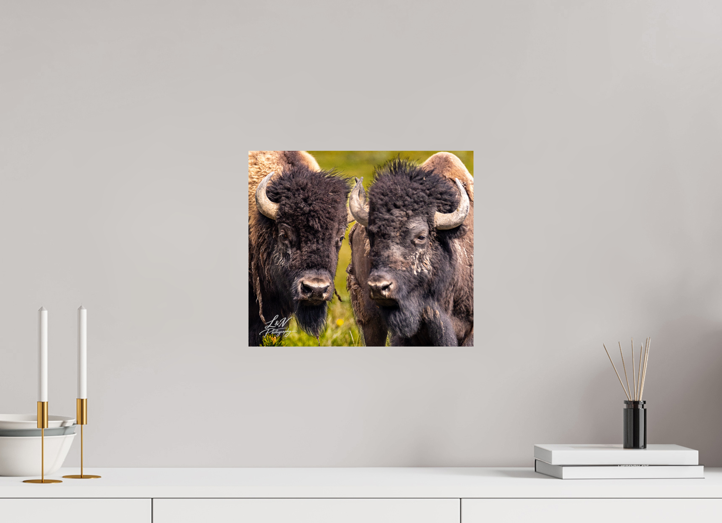 13.8 x 12″, Photo Print on Aluminum Backing Silent Strength