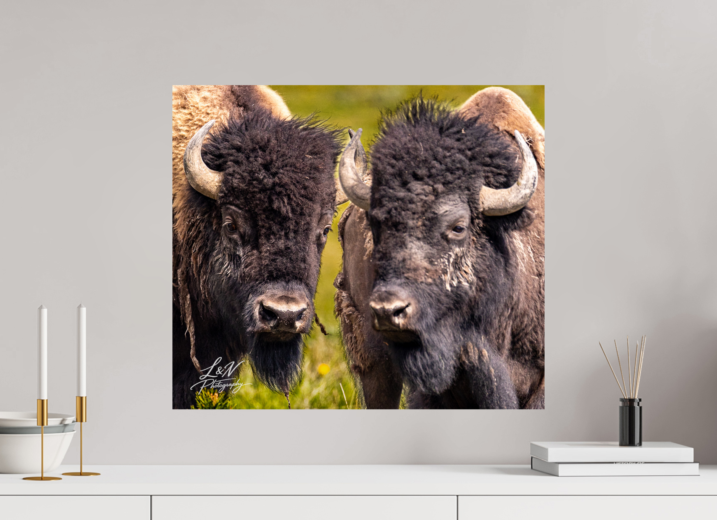 23 x 20″, Photo Print on Aluminum Backing Silent Strength