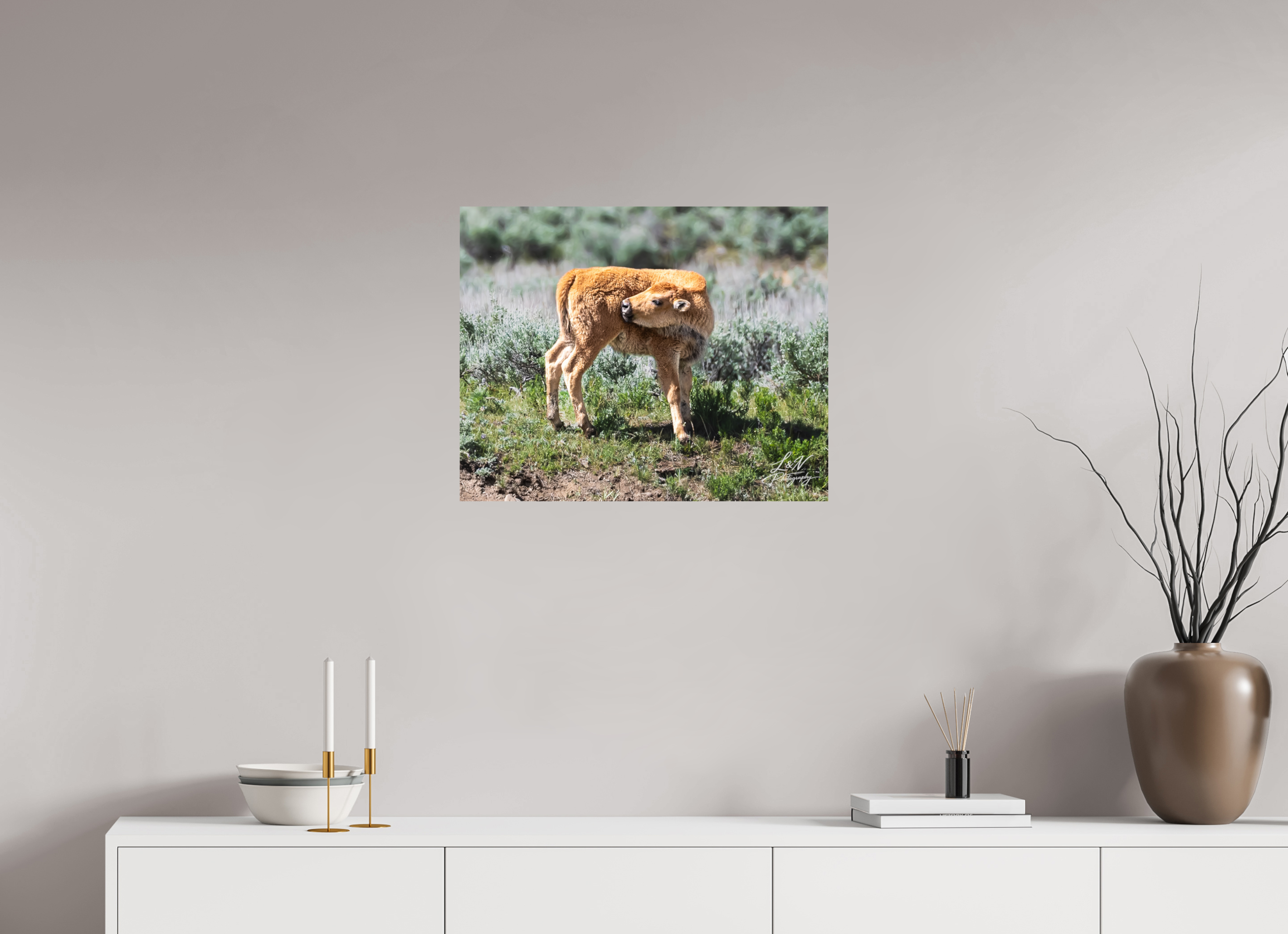 25 x 20″, Photo Print On Fuji Crystal DP II Looking Back