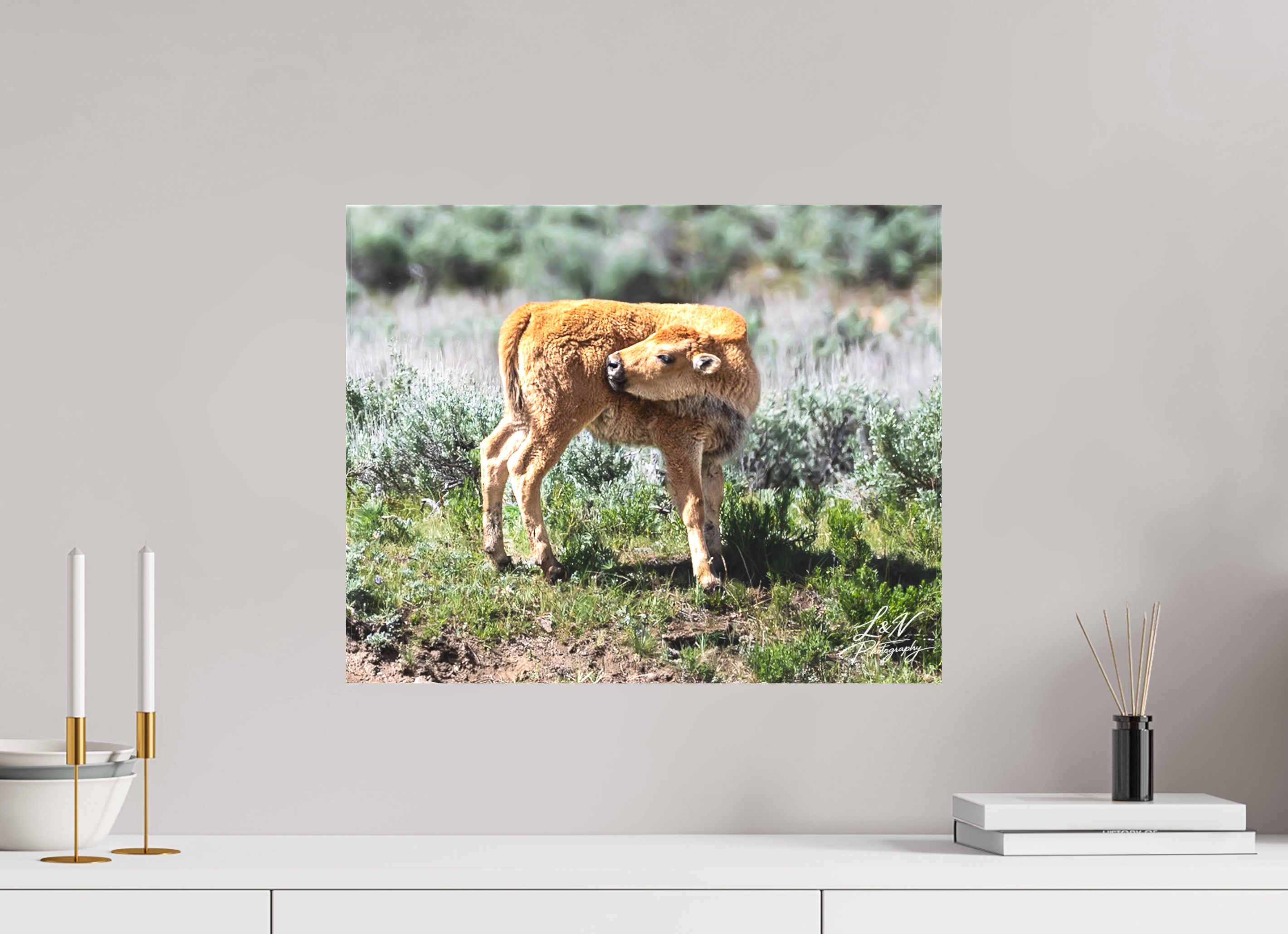 20 x 16″, Matte Canvas on Stretcher Frame Looking Back