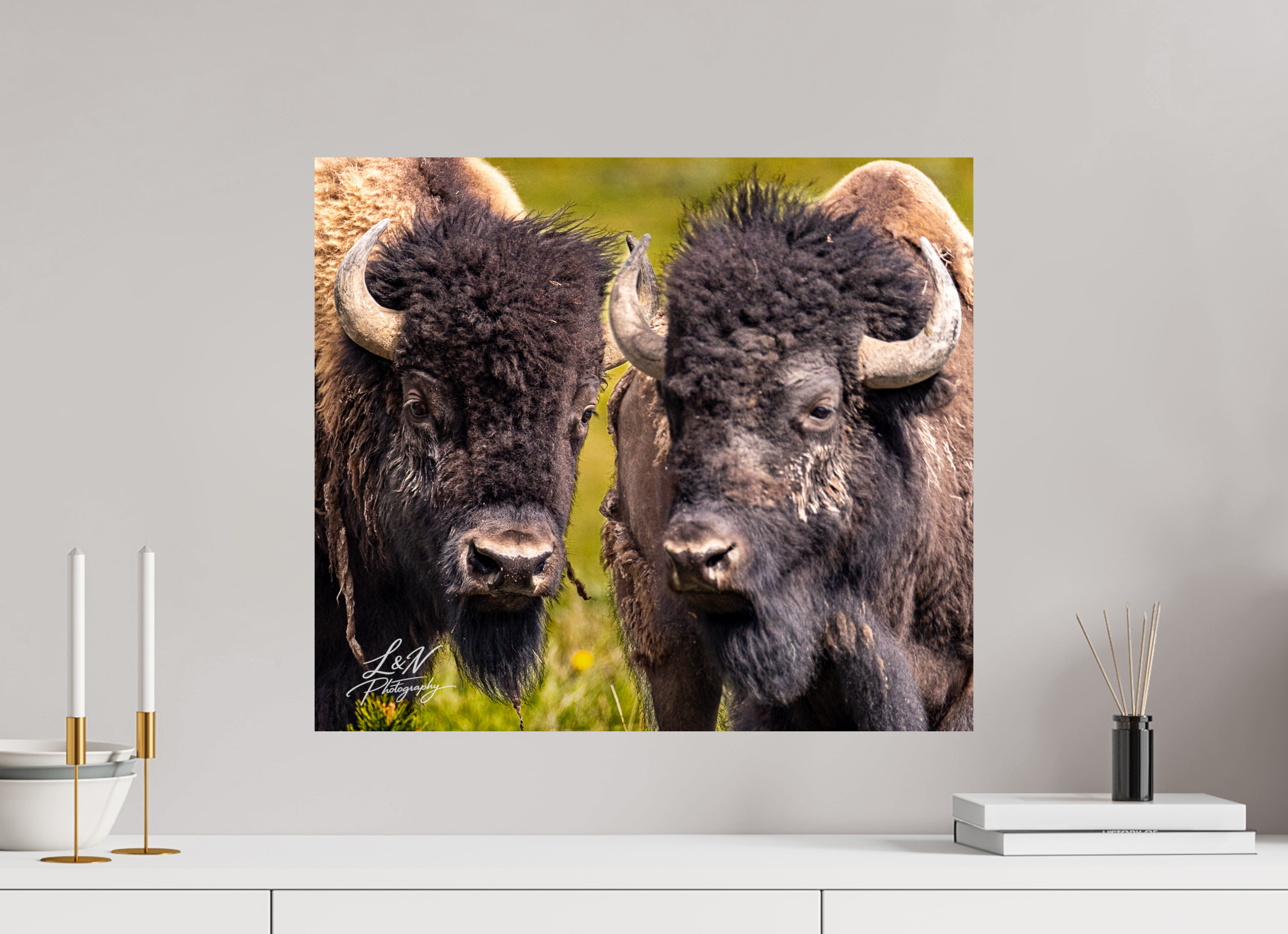 23 x 20″, Photo Print On Fuji Crystal DP II Silent Strength