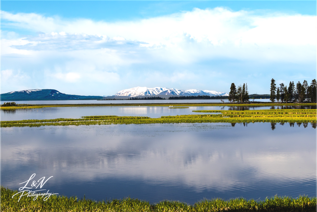 Main image Yellowstone