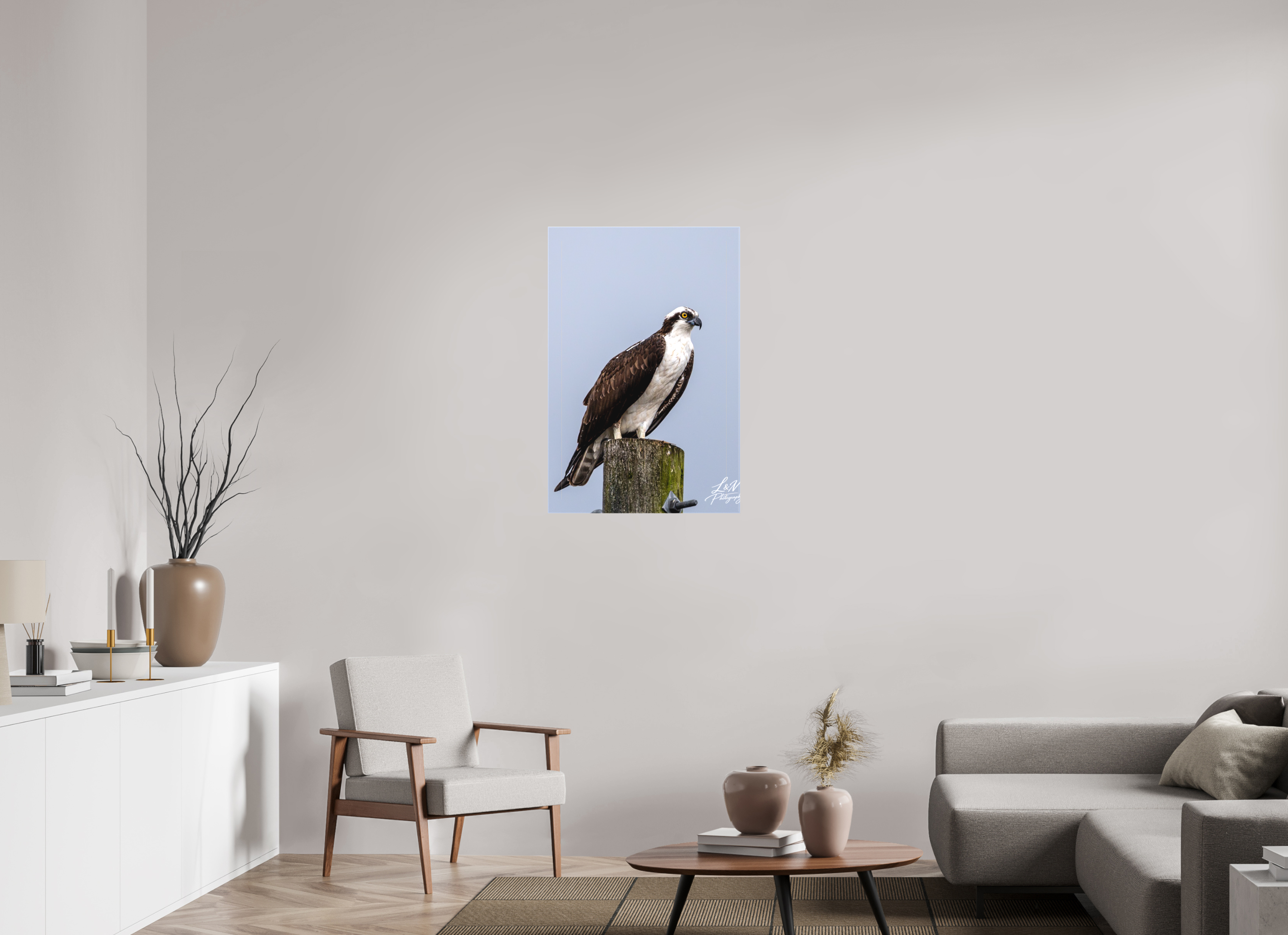 24 x 36″, Matte Canvas on Stretcher Frame Focused