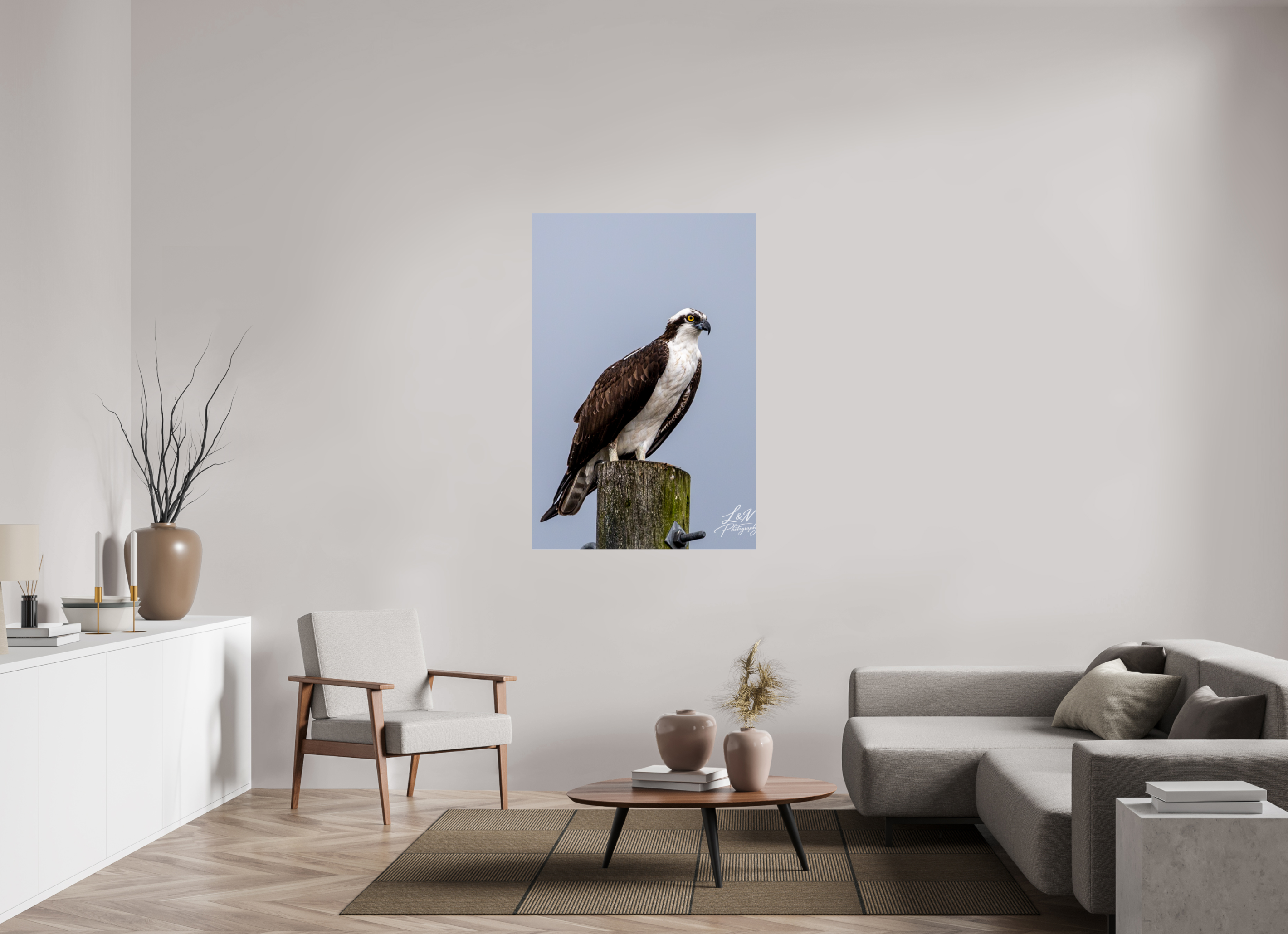 36 x 54″, Photo Print Under Acrylic Glass Focused