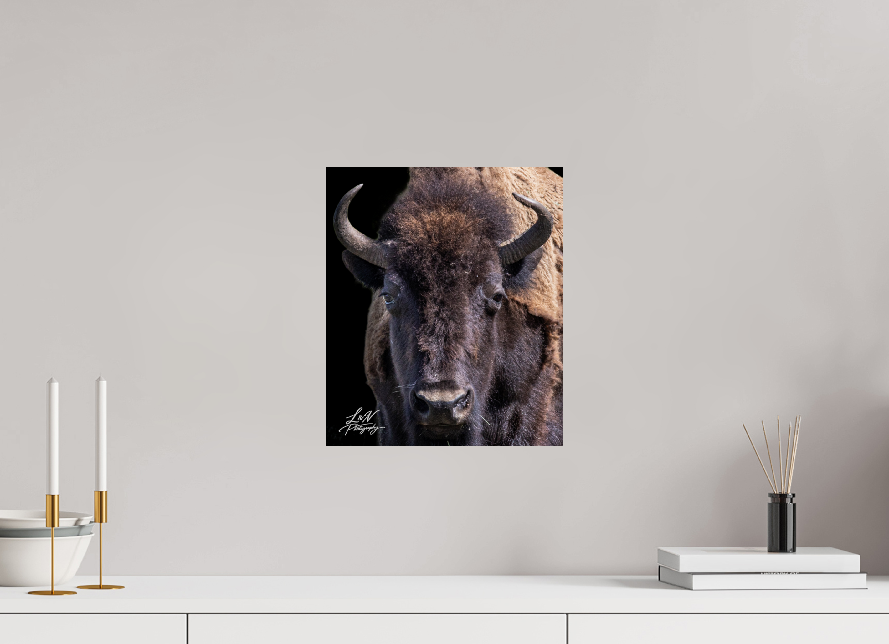 12 x 14.1″, Photo Print On Fuji Crystal DP II Yellowstone Bison