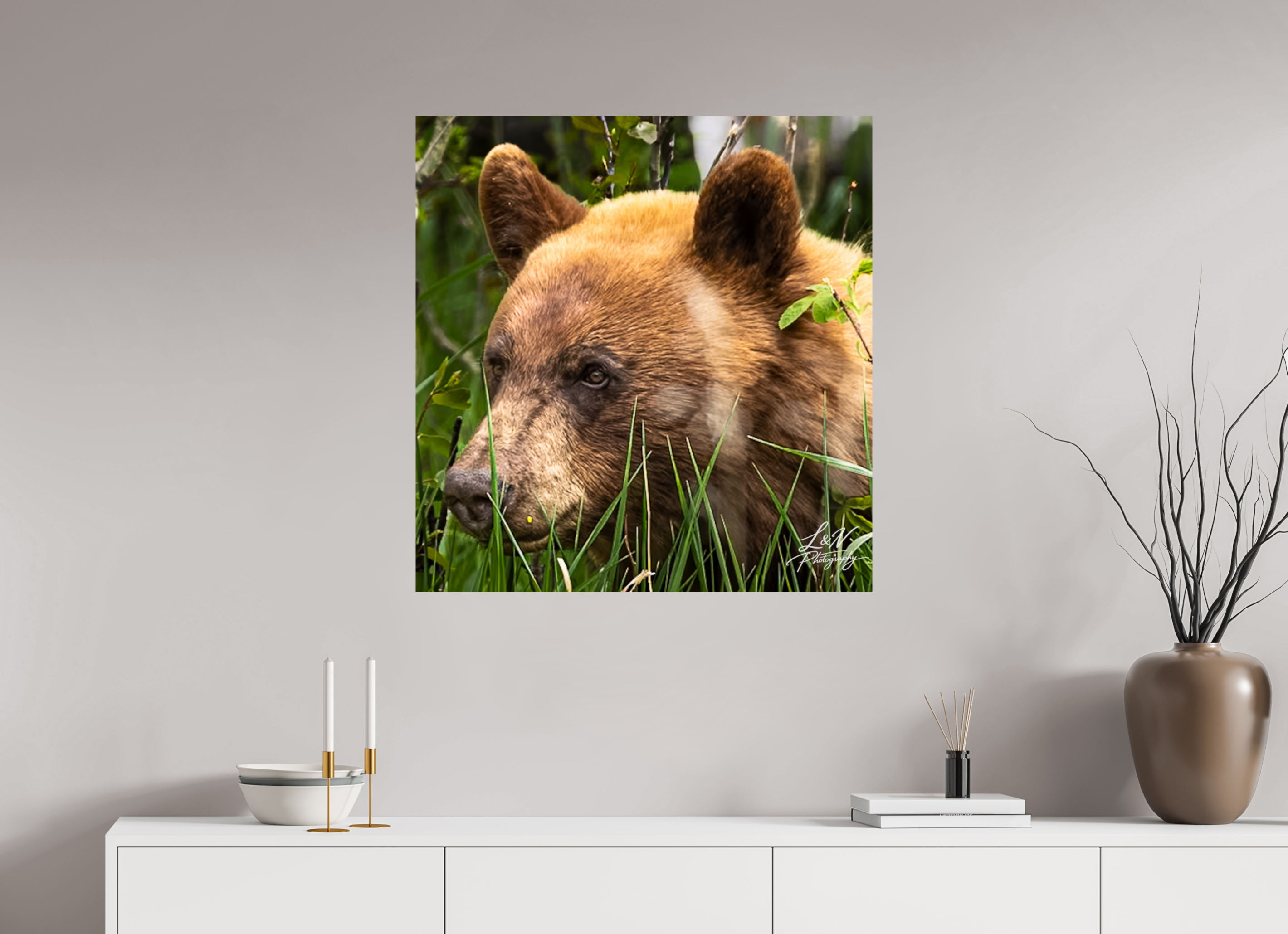 31 x 32.3″, Photo Print On Fuji Crystal DP II Cinnamon Bear