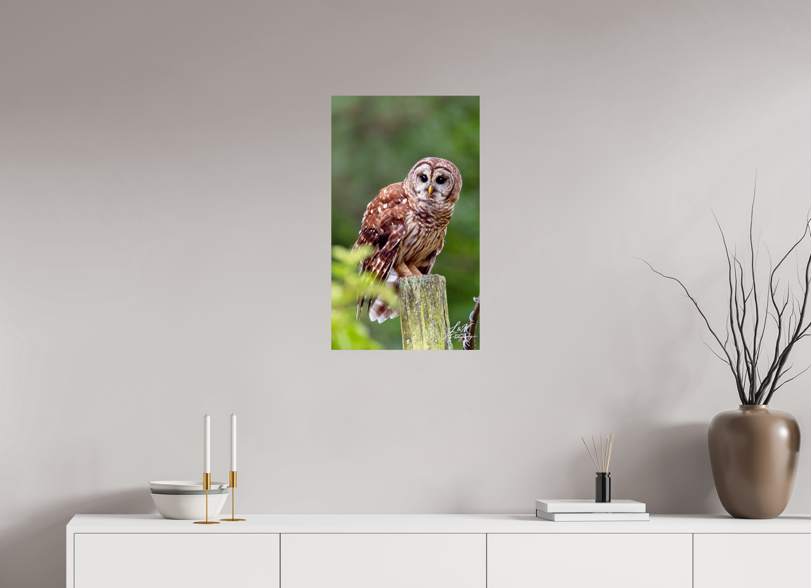 16 x 27.4″, Photo Print On Fuji Crystal DP II Moments in the Wild  Wildlife & Nature Photography from Alabama