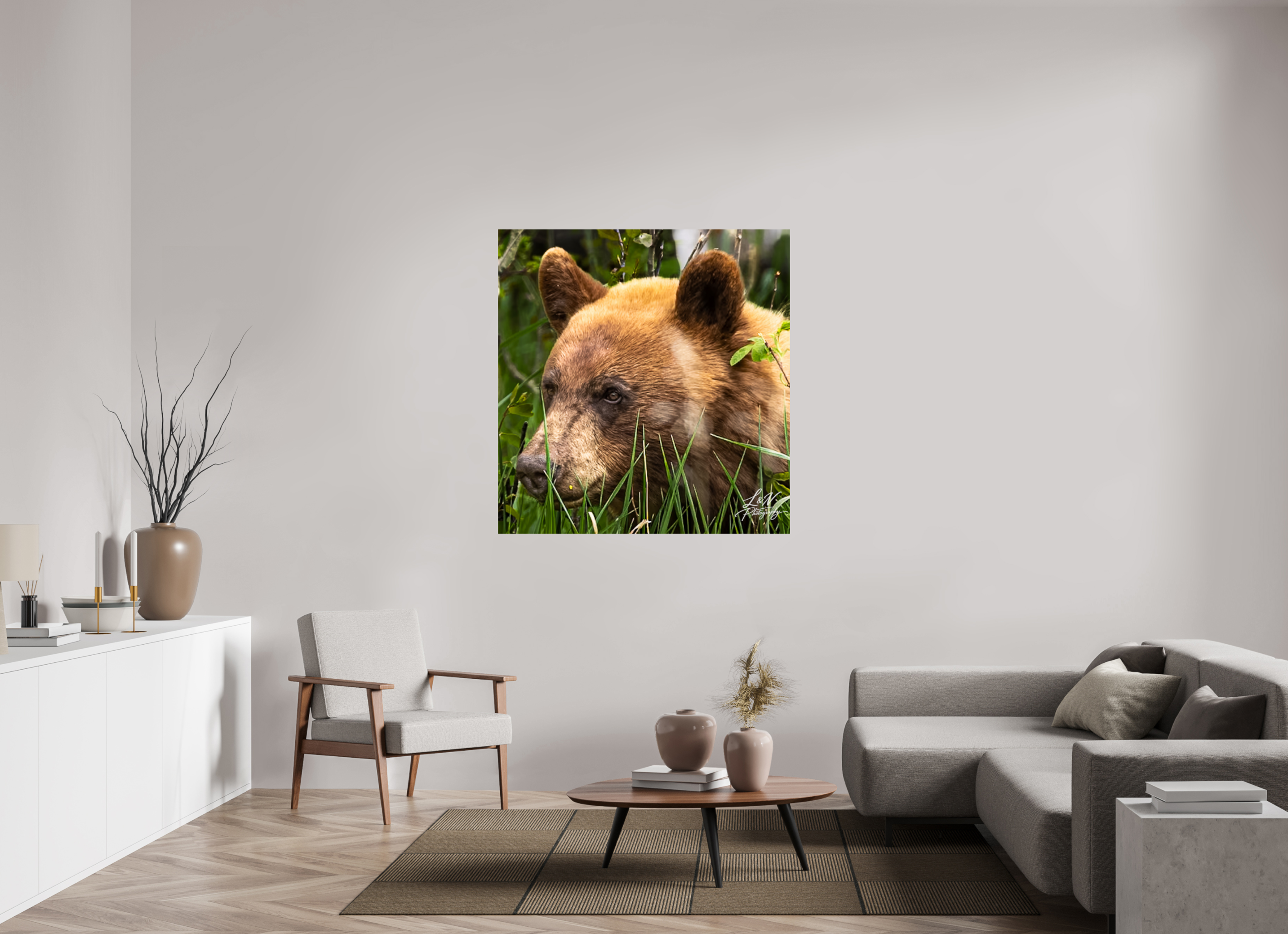 47 x 49″, Photo Print On Fuji Crystal DP II Cinnamon Bear