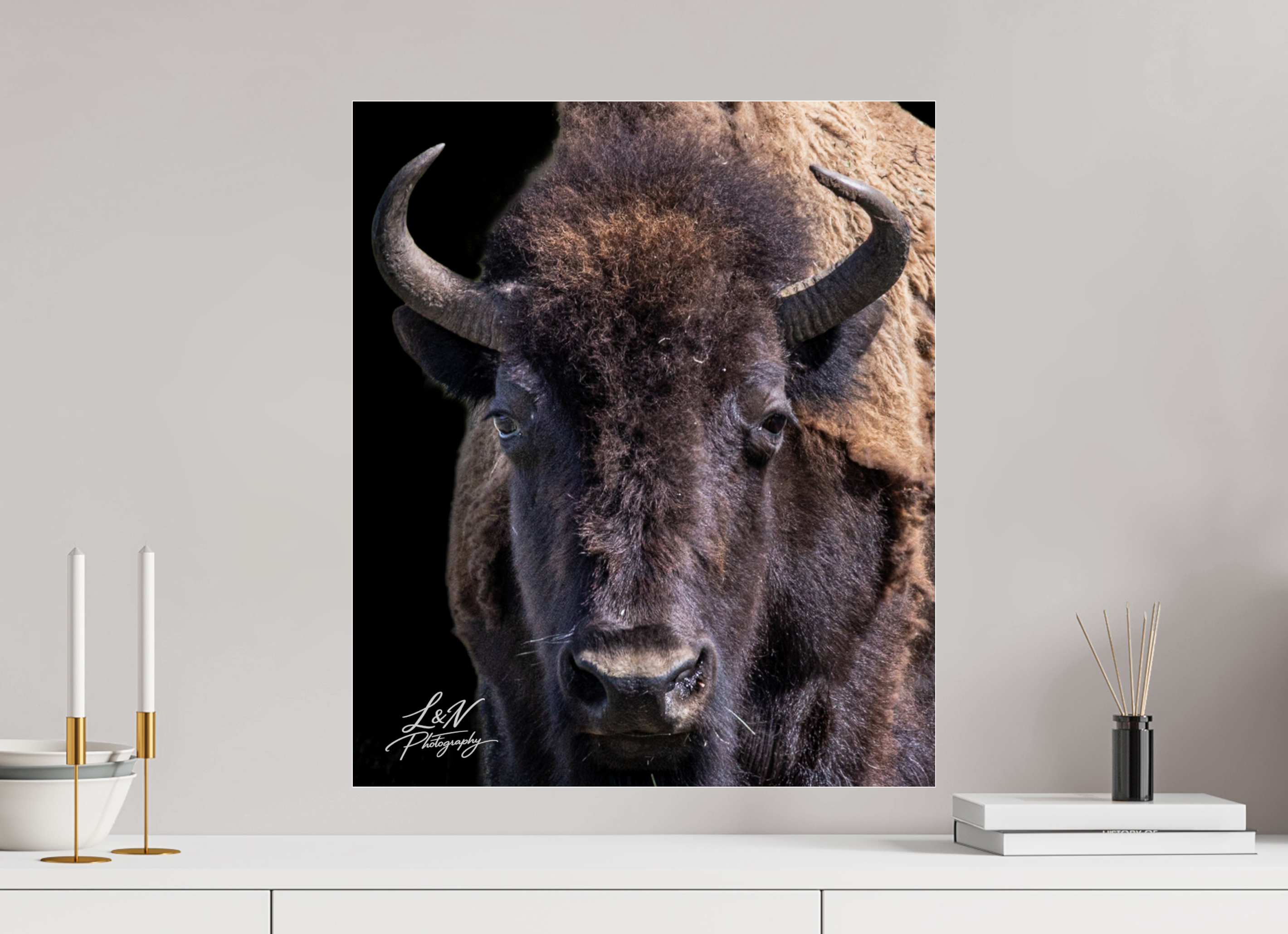 20 x 23.5″, Photo Print Under Acrylic Glass Yellowstone Bison