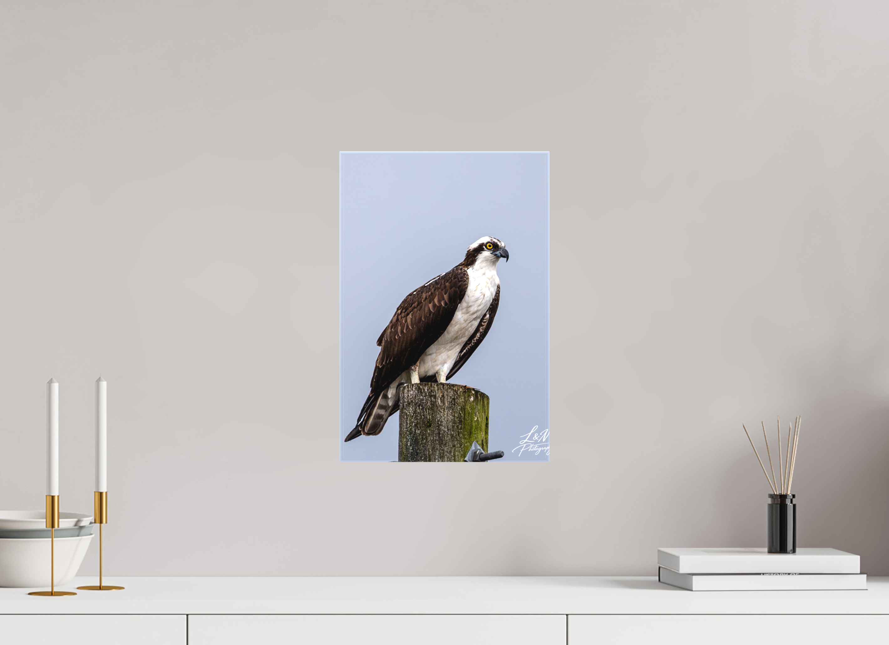 10 x 15″, Matte Canvas on Stretcher Frame Focused