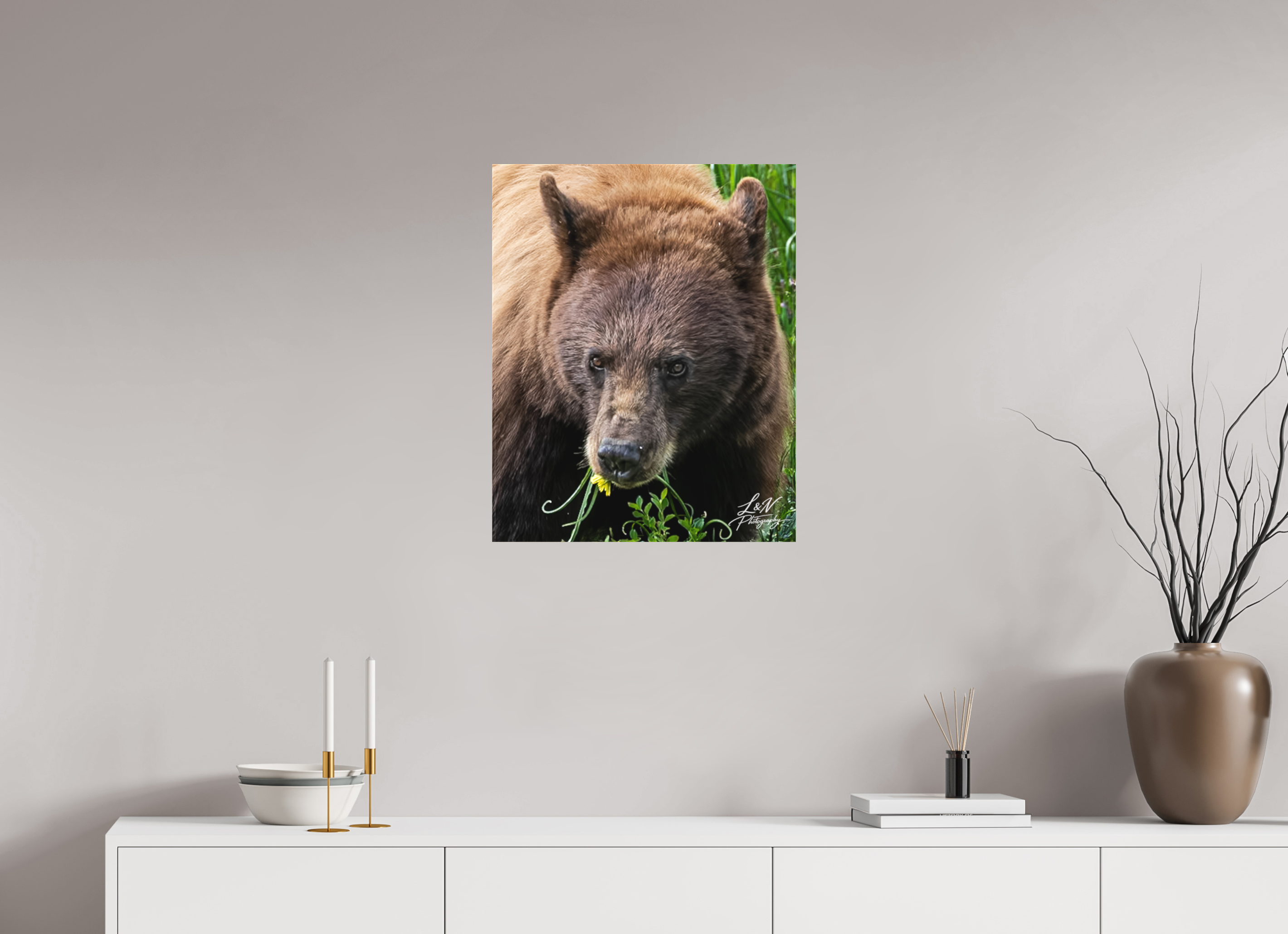 20 x 25″, Matte Canvas on Stretcher Frame Eyes of the Wild