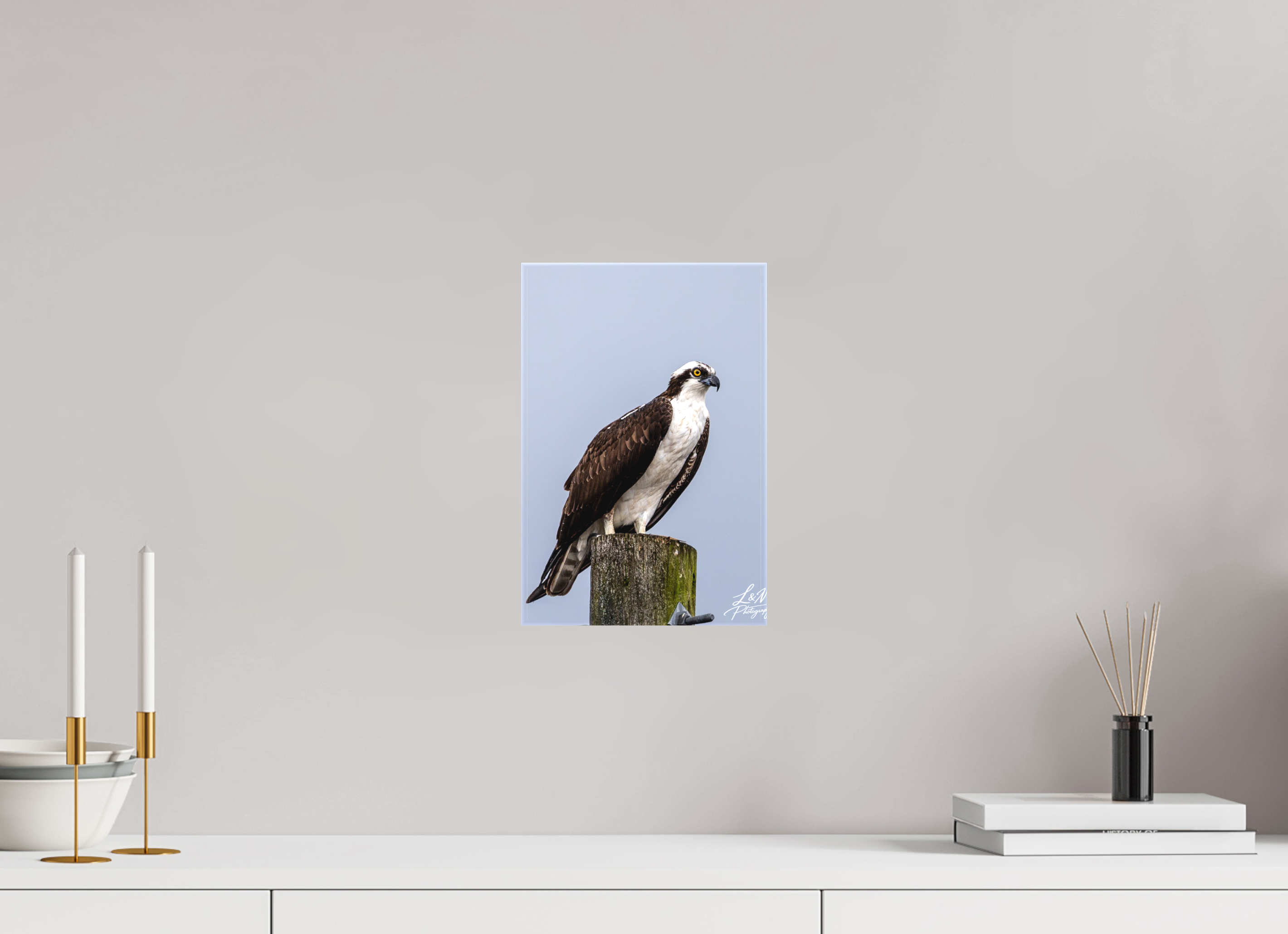8 x 12″, Matte Canvas on Stretcher Frame Focused