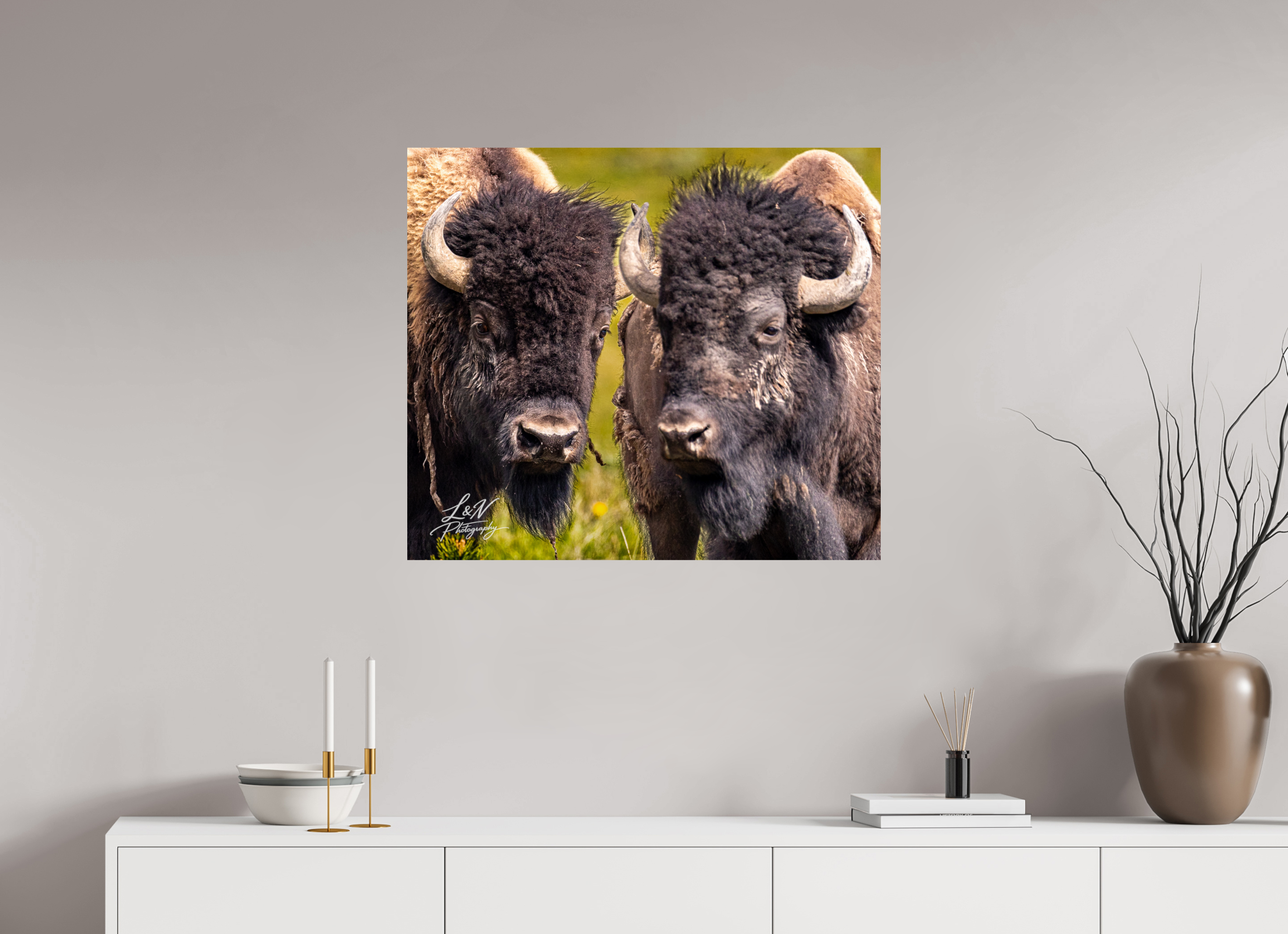 32.1 x 28″, Photo Print On Fuji Crystal DP II Silent Strength