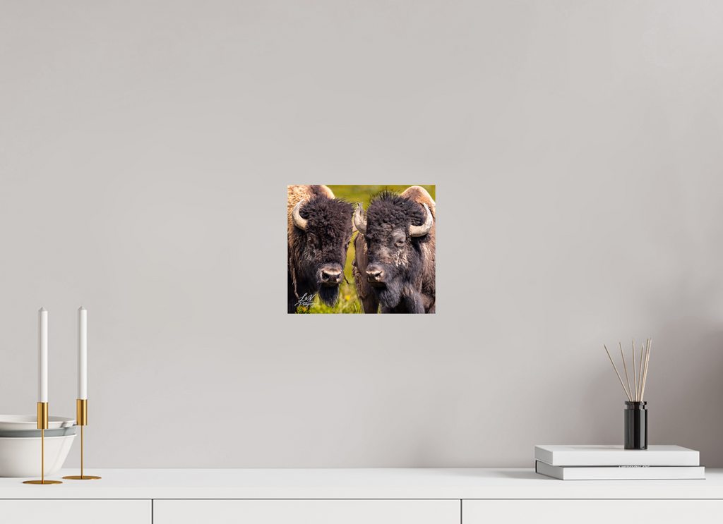 9.2 x 8″, Photo Print On Fuji Crystal DP II Silent Strength