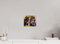 9.2 x 8″, Photo Print On Fuji Crystal DP II Silent Strength
