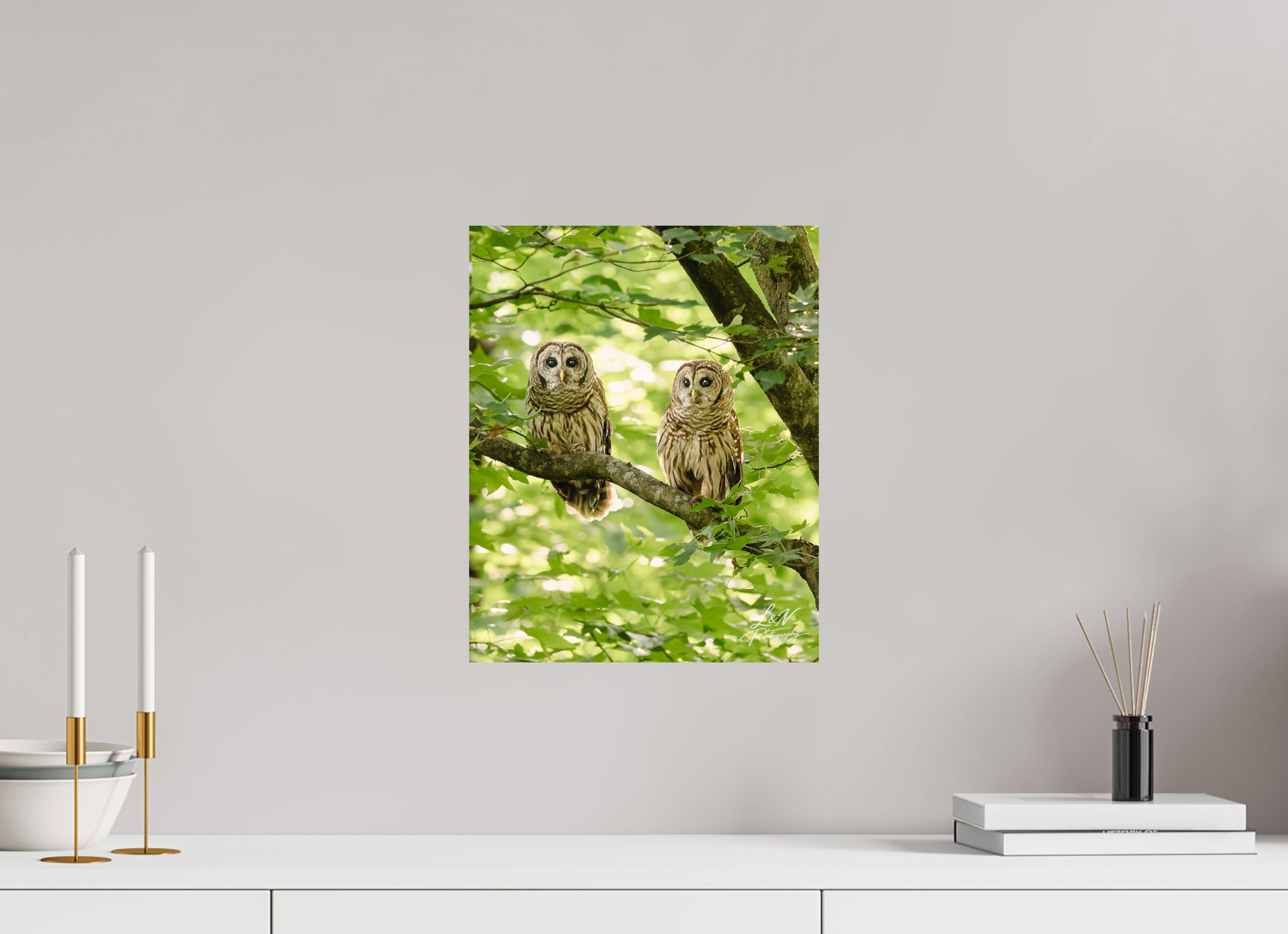 12 x 15″, Photo Print on Aluminum Backing Kindred Spirits