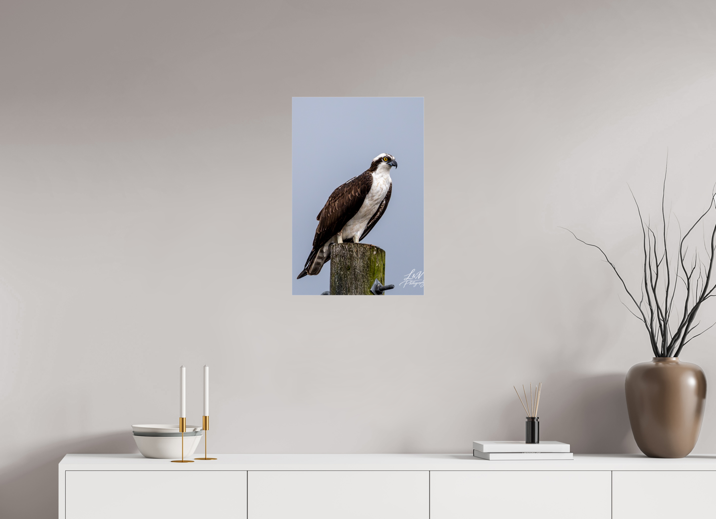 16 x 24″, Photo Print Under Acrylic Glass Focused