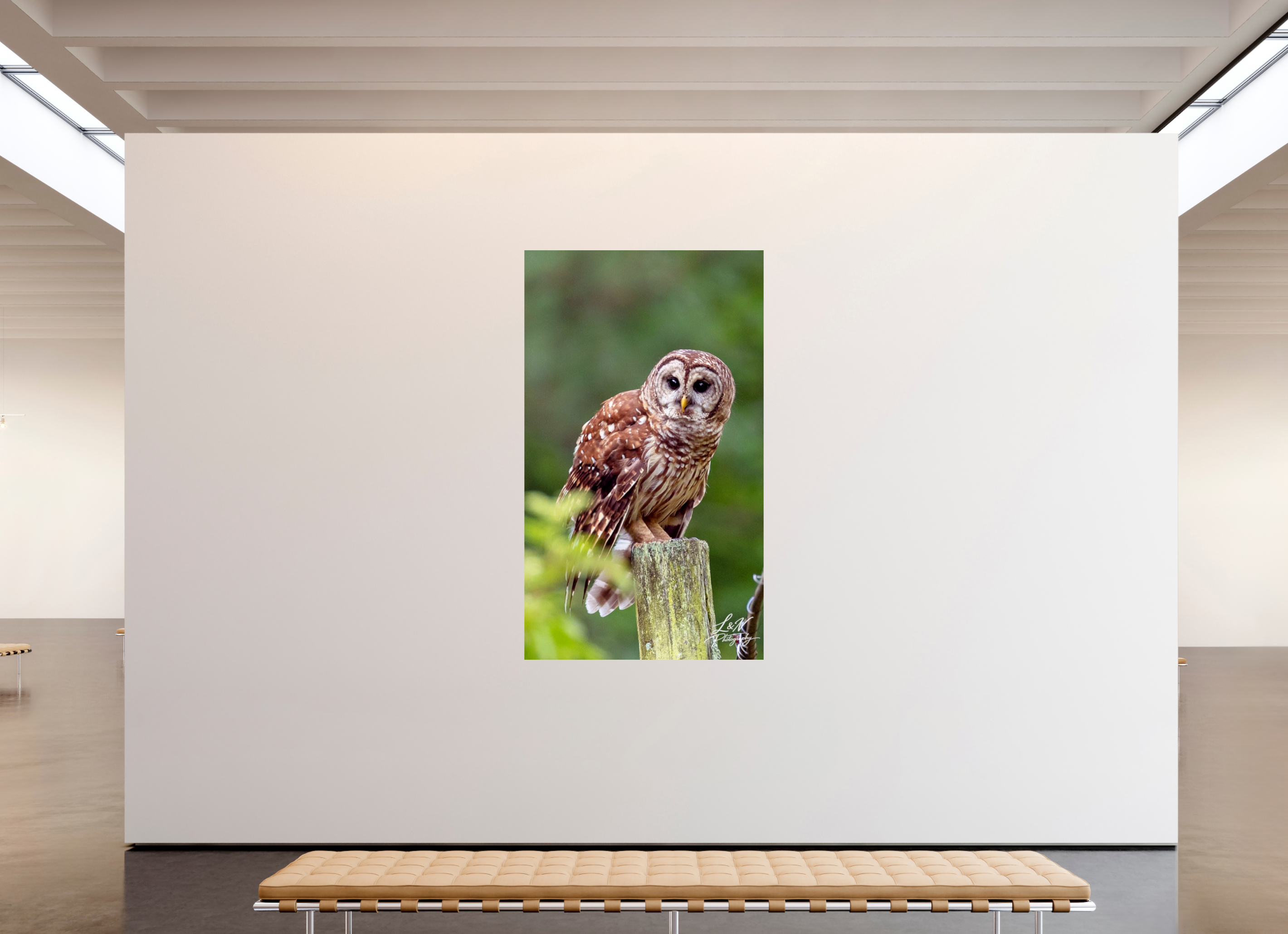 47 x 80.5″, Photo Print On Fuji Crystal DP II Moments in the Wild  Wildlife & Nature Photography from Alabama