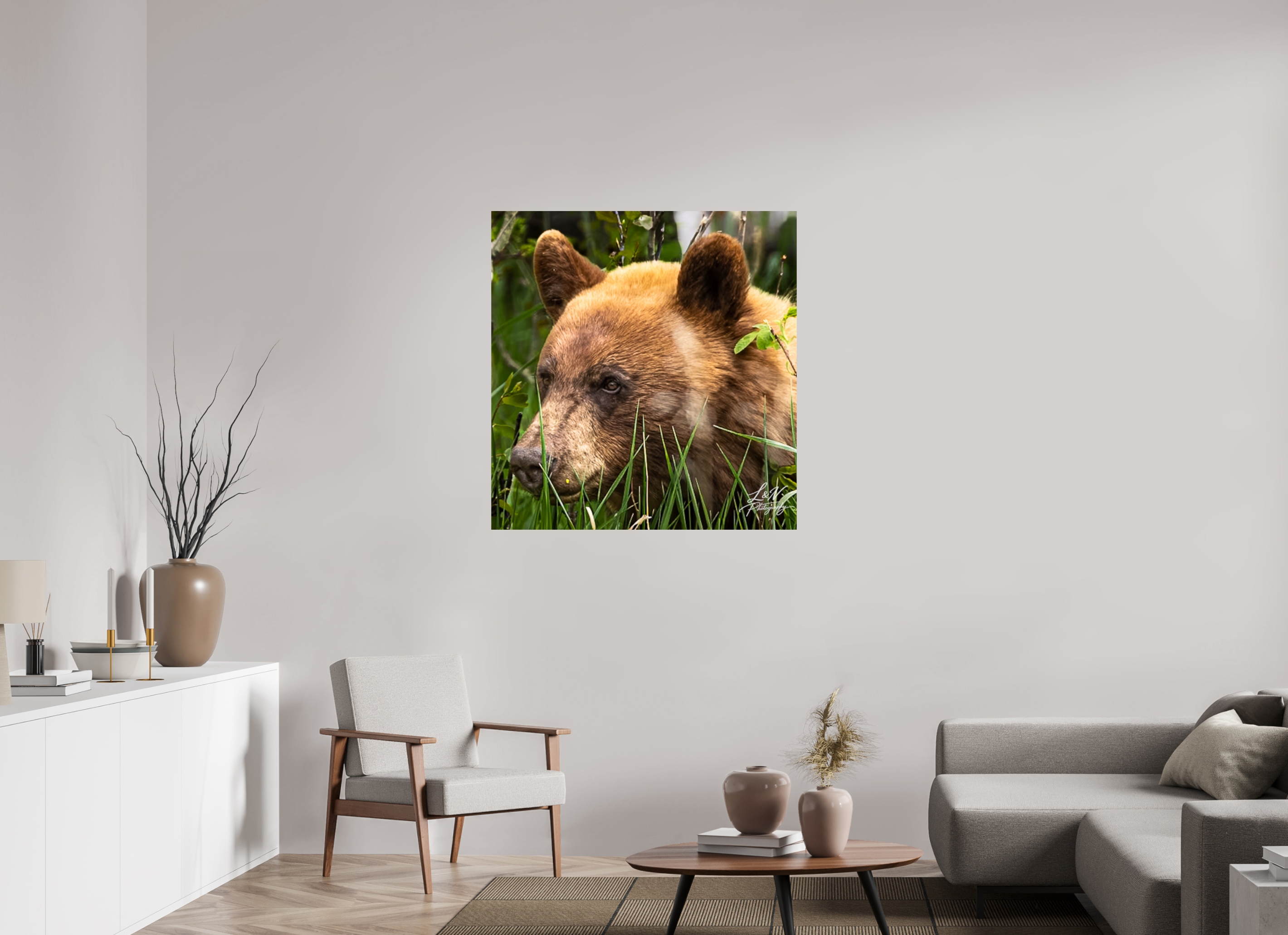 39 x 40.7″, Photo Print On Fuji Crystal DP II Cinnamon Bear