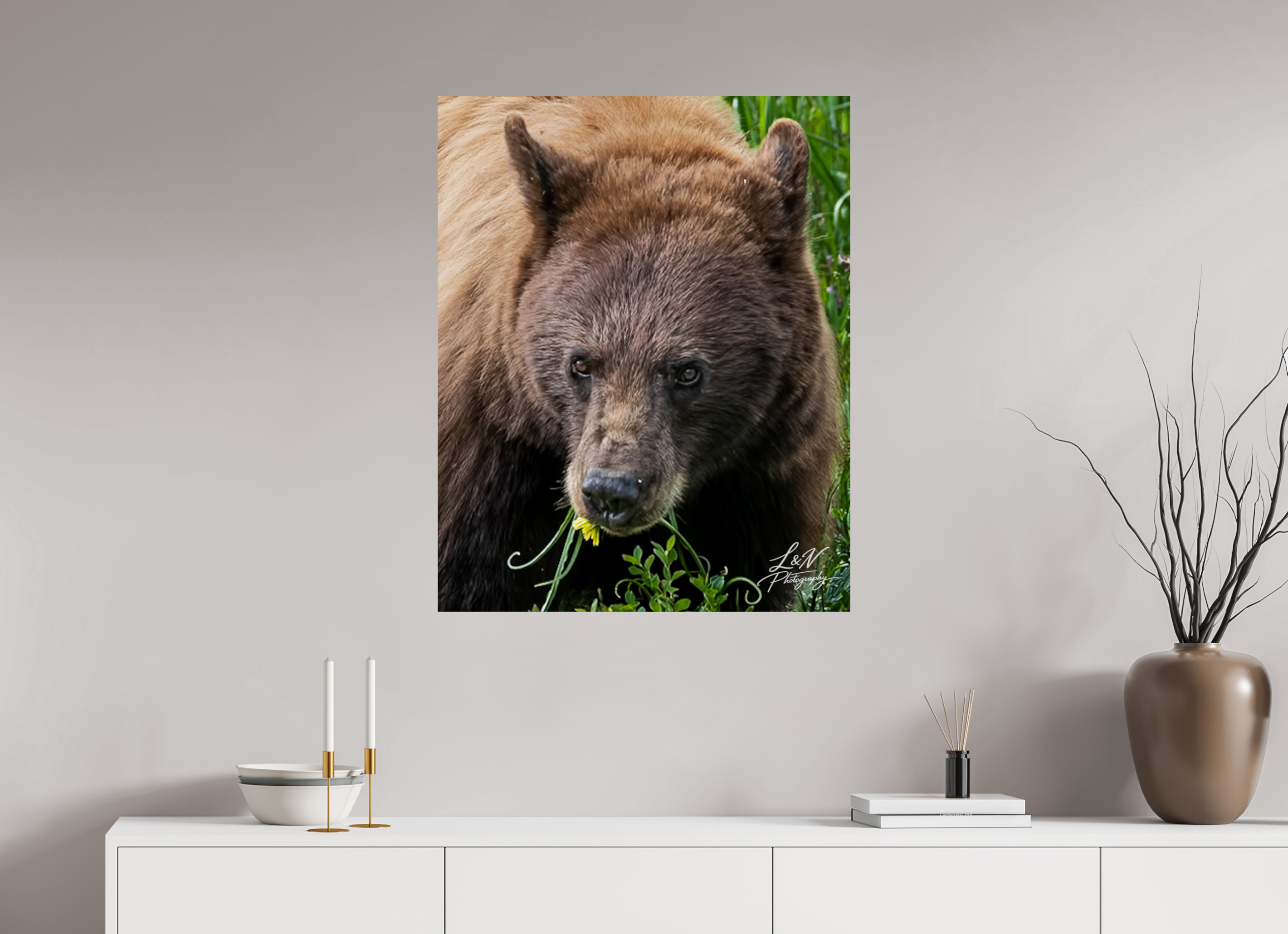 28 x 35″, Photo Print On Fuji Crystal DP II Eyes of the Wild