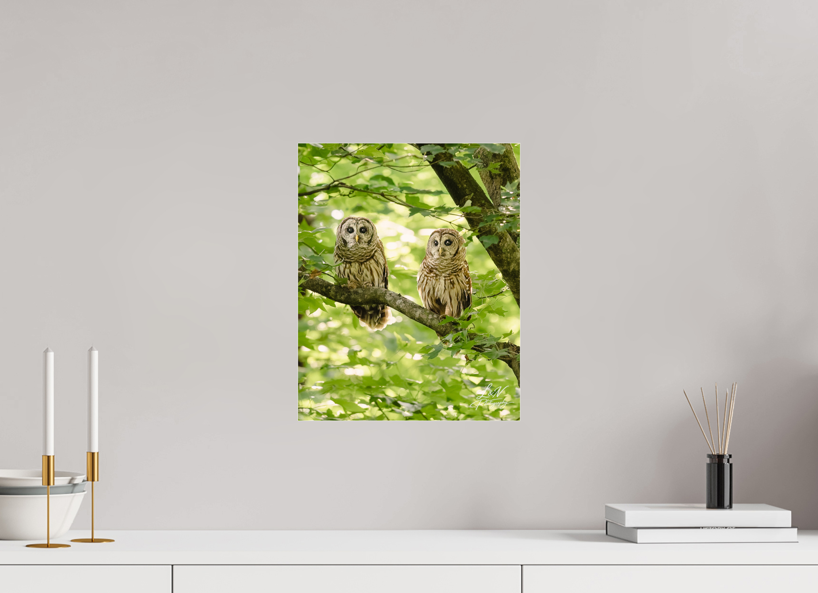 12 x 15″, Photo Print Under Acrylic Glass Kindred Spirits