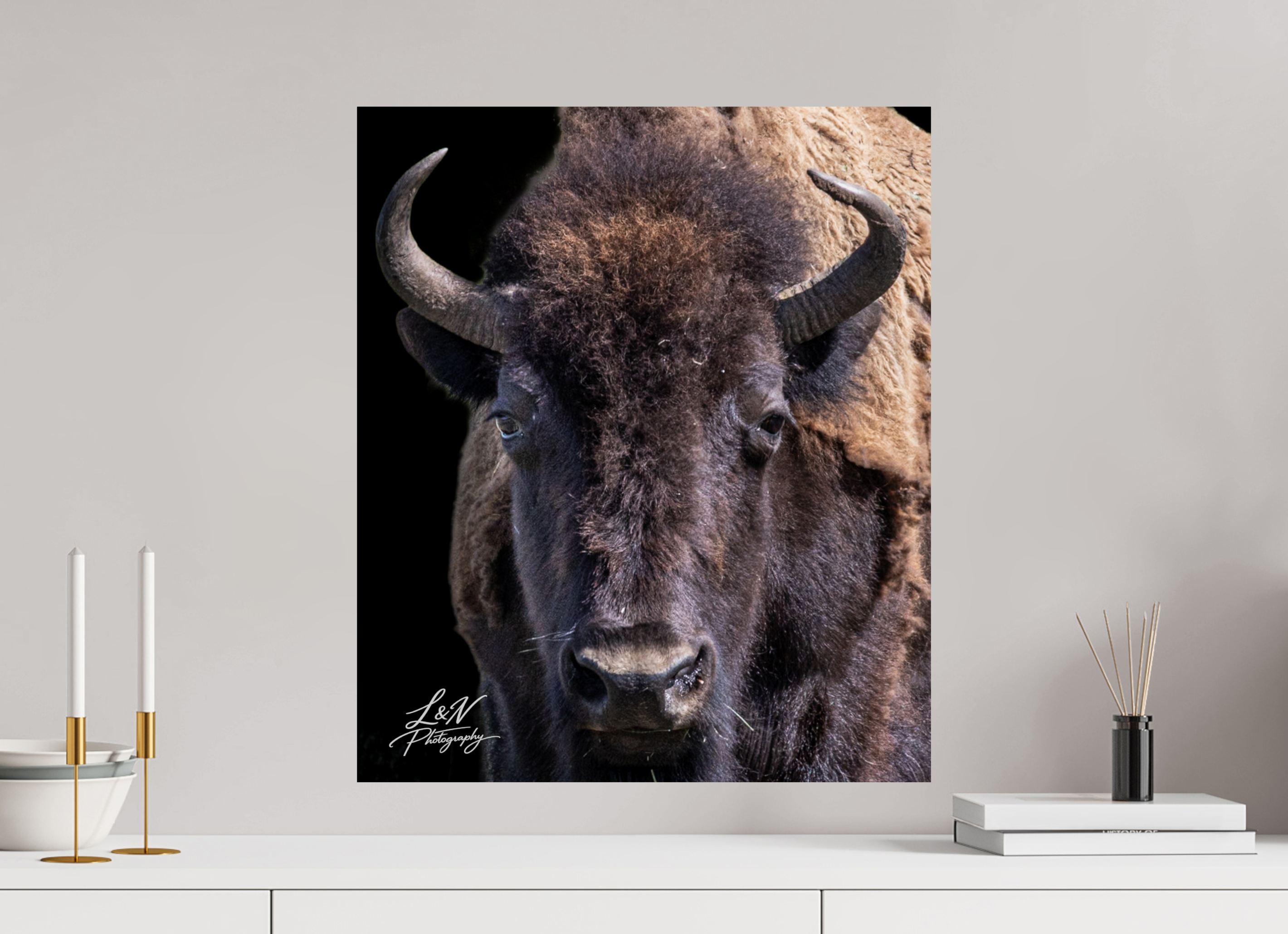20 x 23.5″, Photo Print On Fuji Crystal DP II Yellowstone Bison