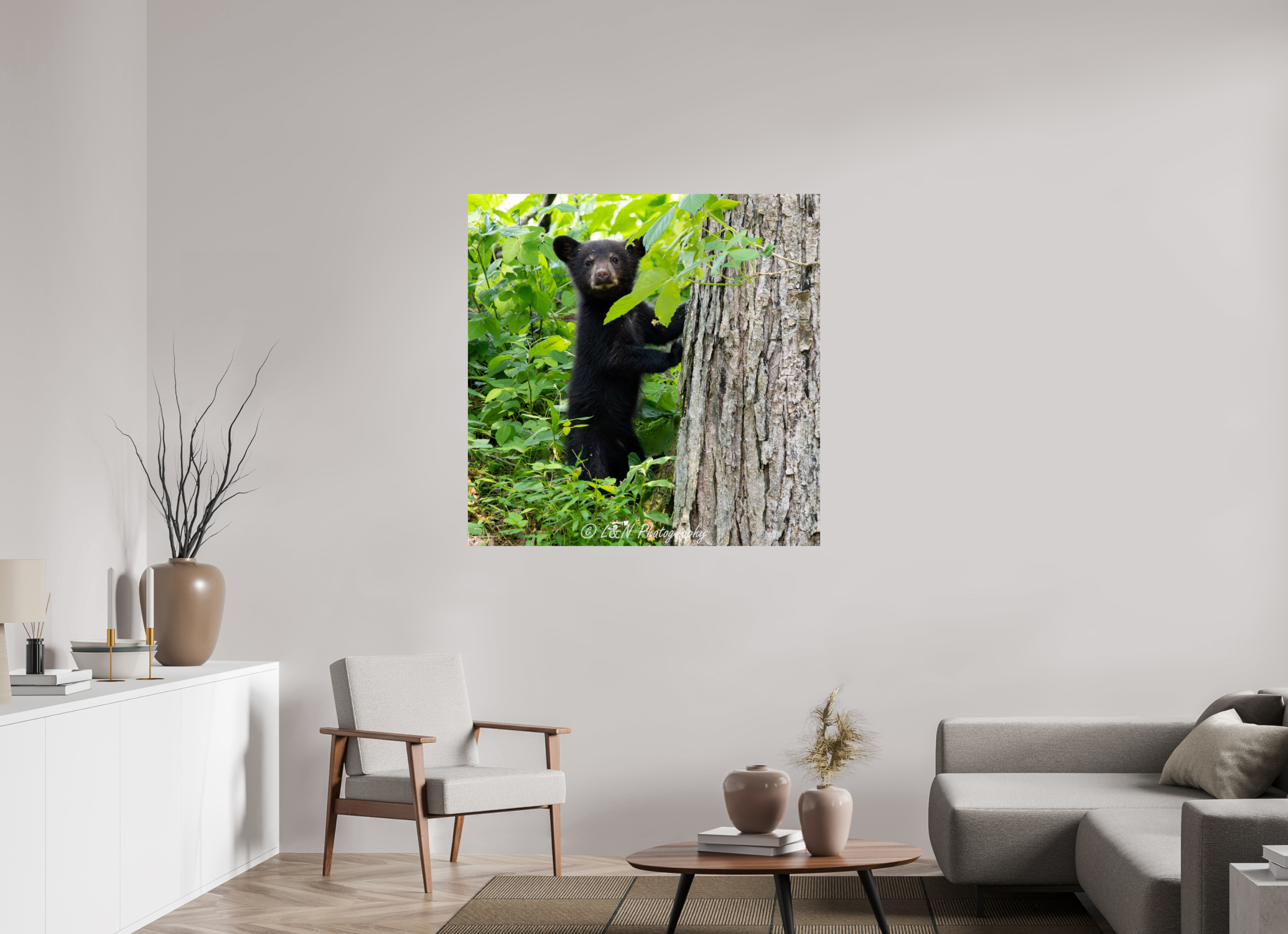 45 x 45″, Photo Print On Fuji Crystal DP II Bear Cub