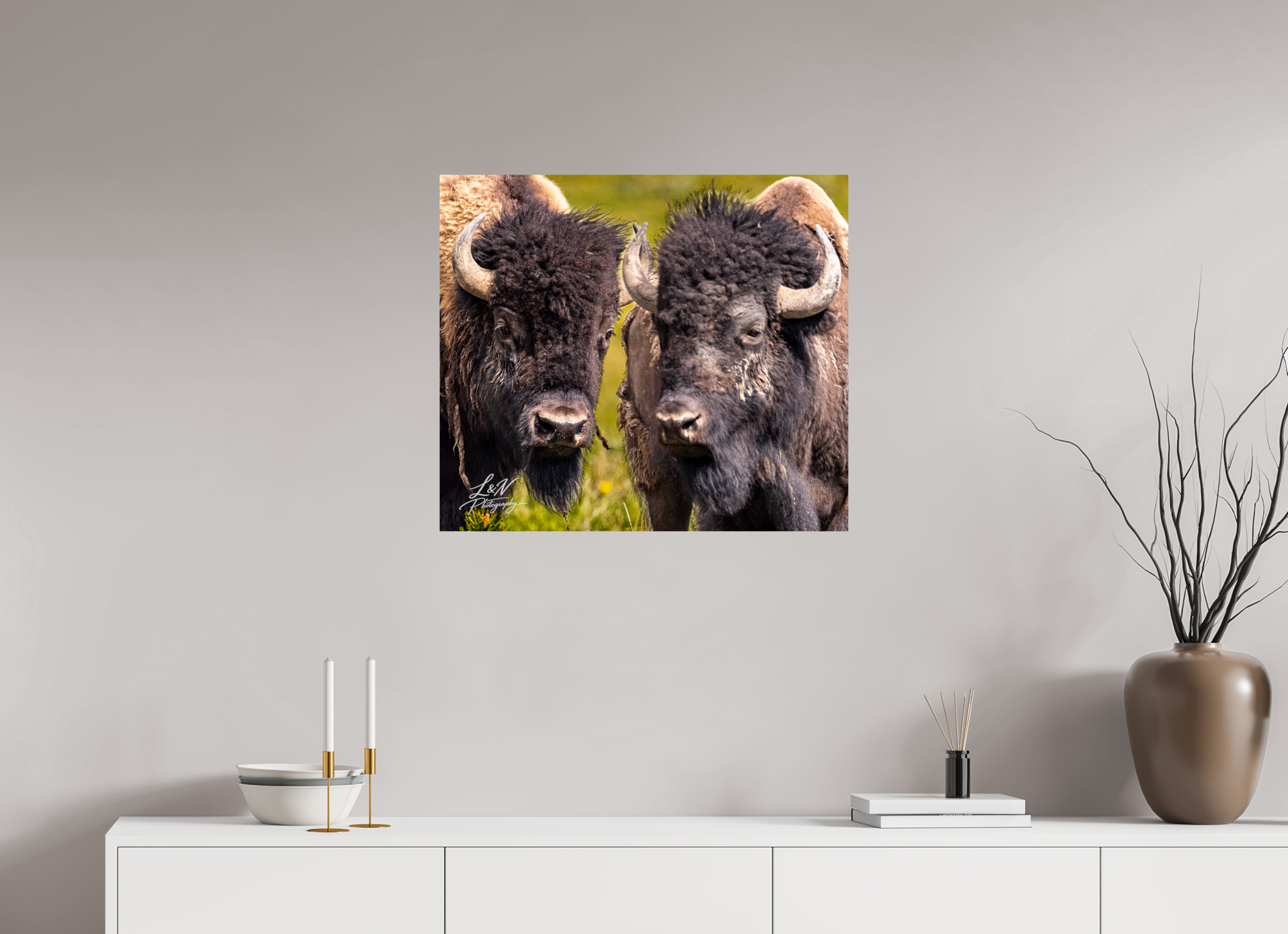 27.5 x 24″, Photo Print on Aluminum Backing Silent Strength