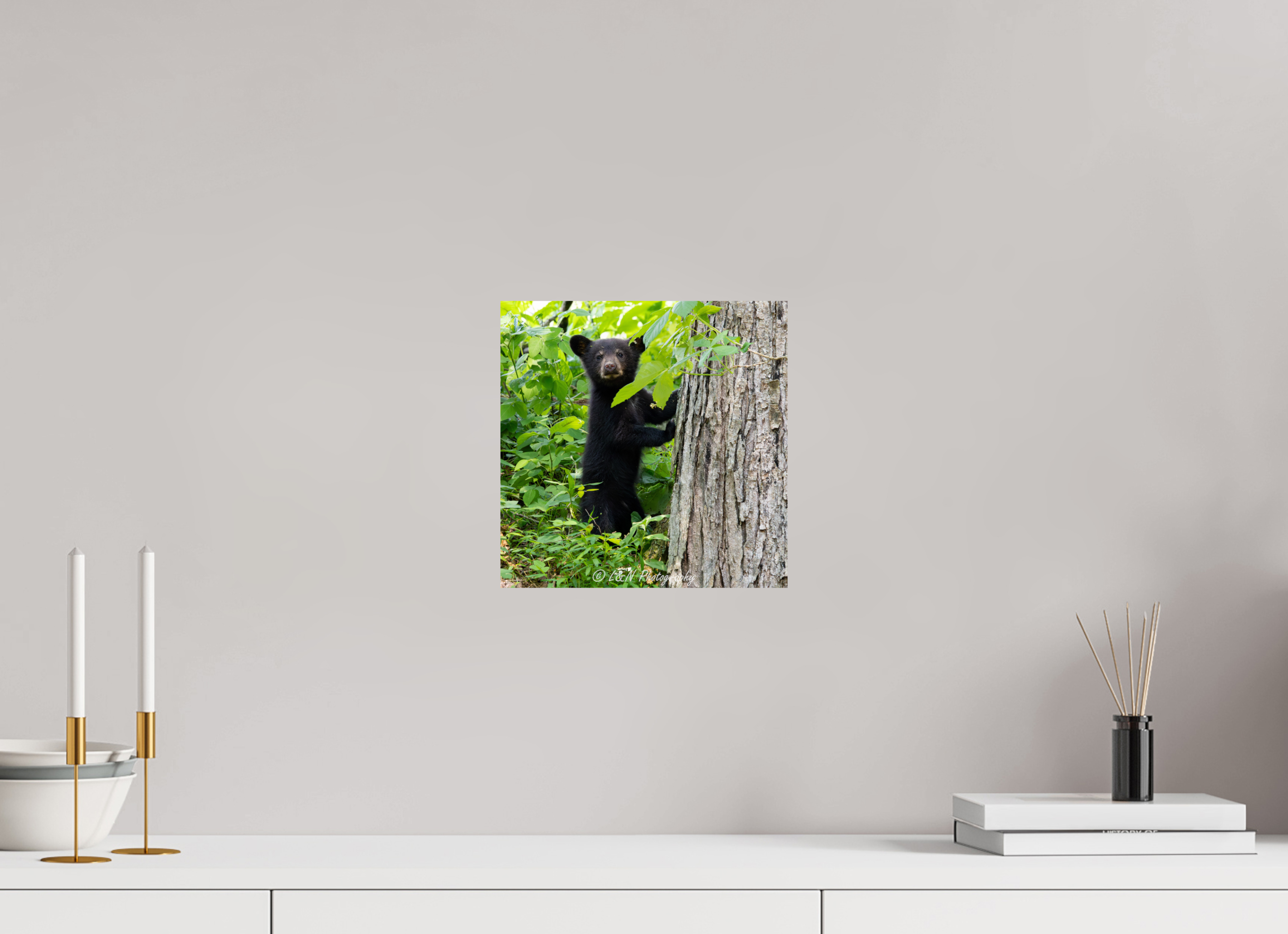 10 x 10″, Photo Print On Fuji Crystal DP II Bear Cub